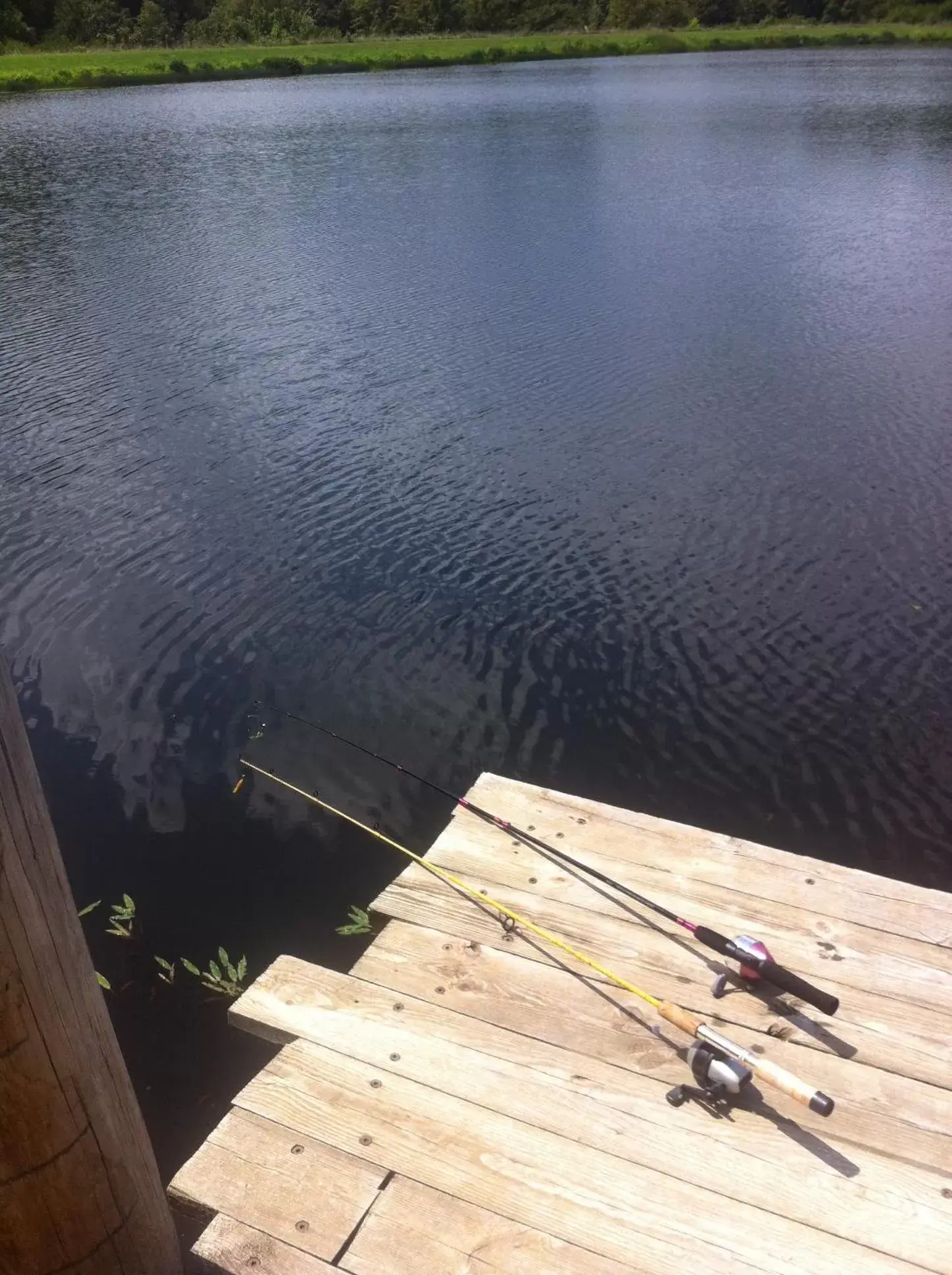 Fishing in Cedar Creek