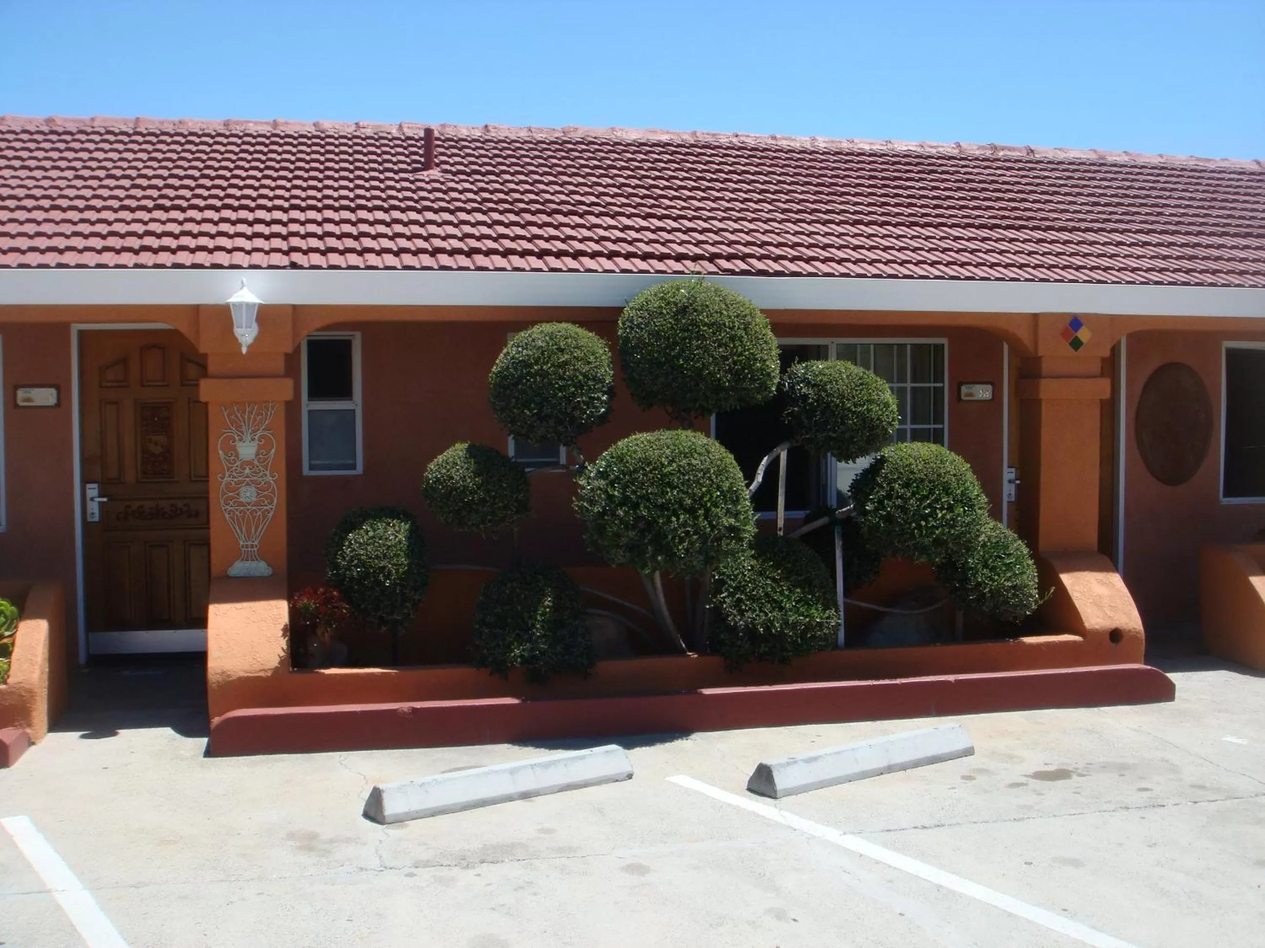Garden in Economy Inn Los Banos