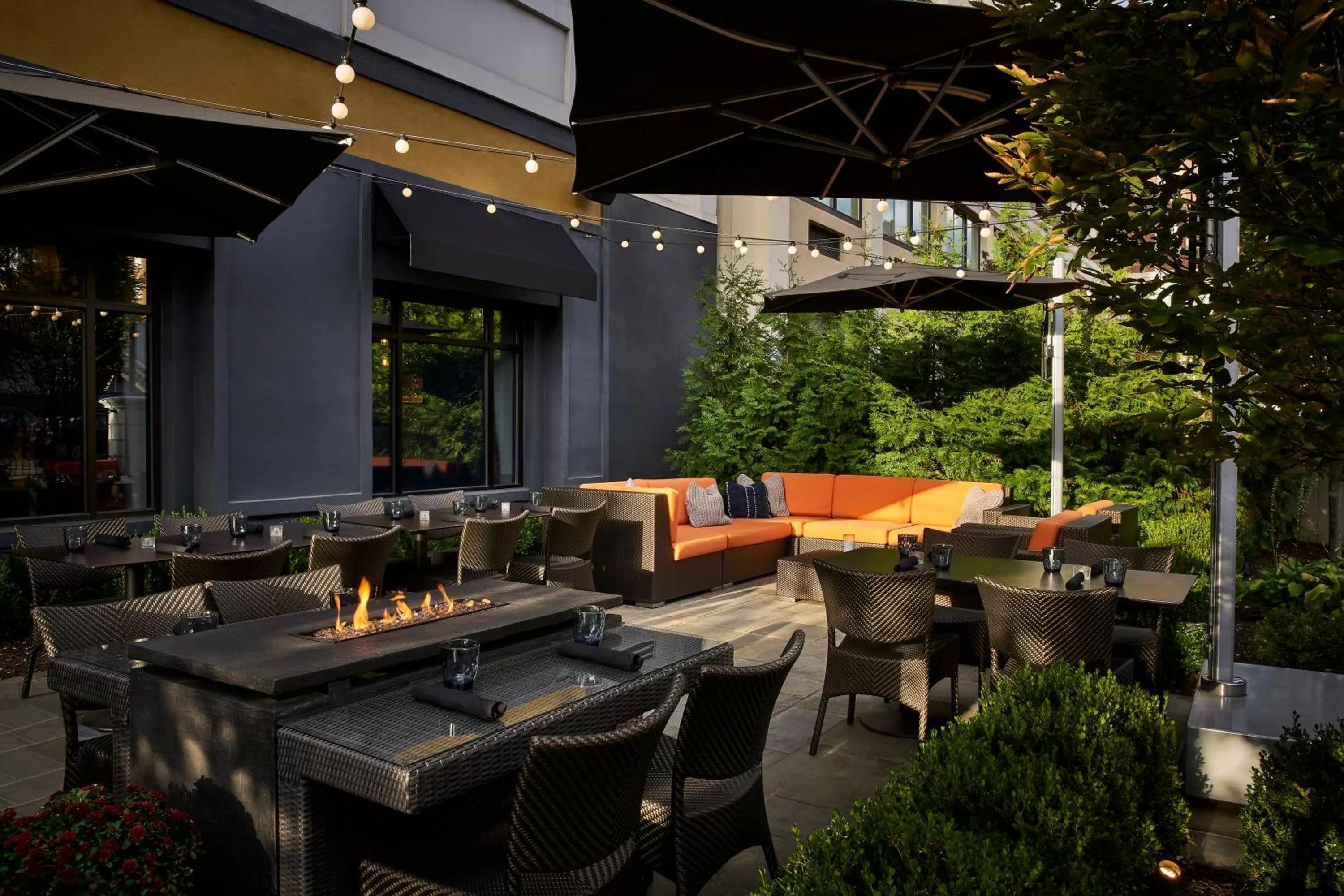 Patio in The Darcy Hotel, Washington DC