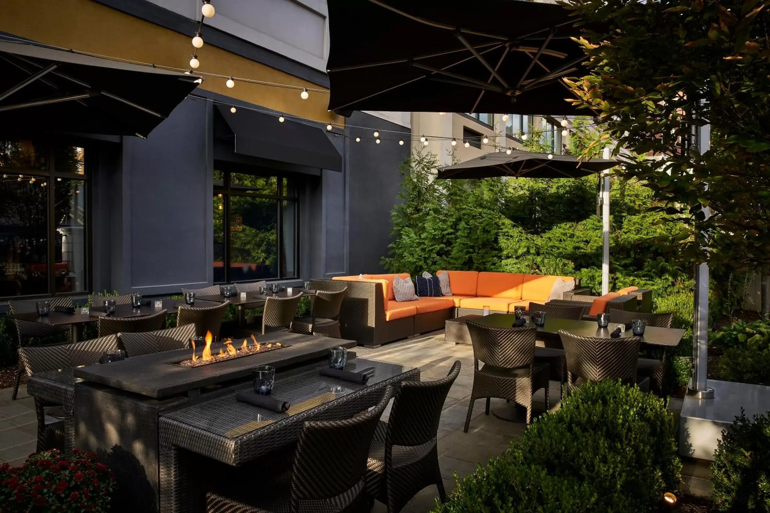 Patio, Restaurant/Places to Eat in The Darcy Hotel, Washington DC