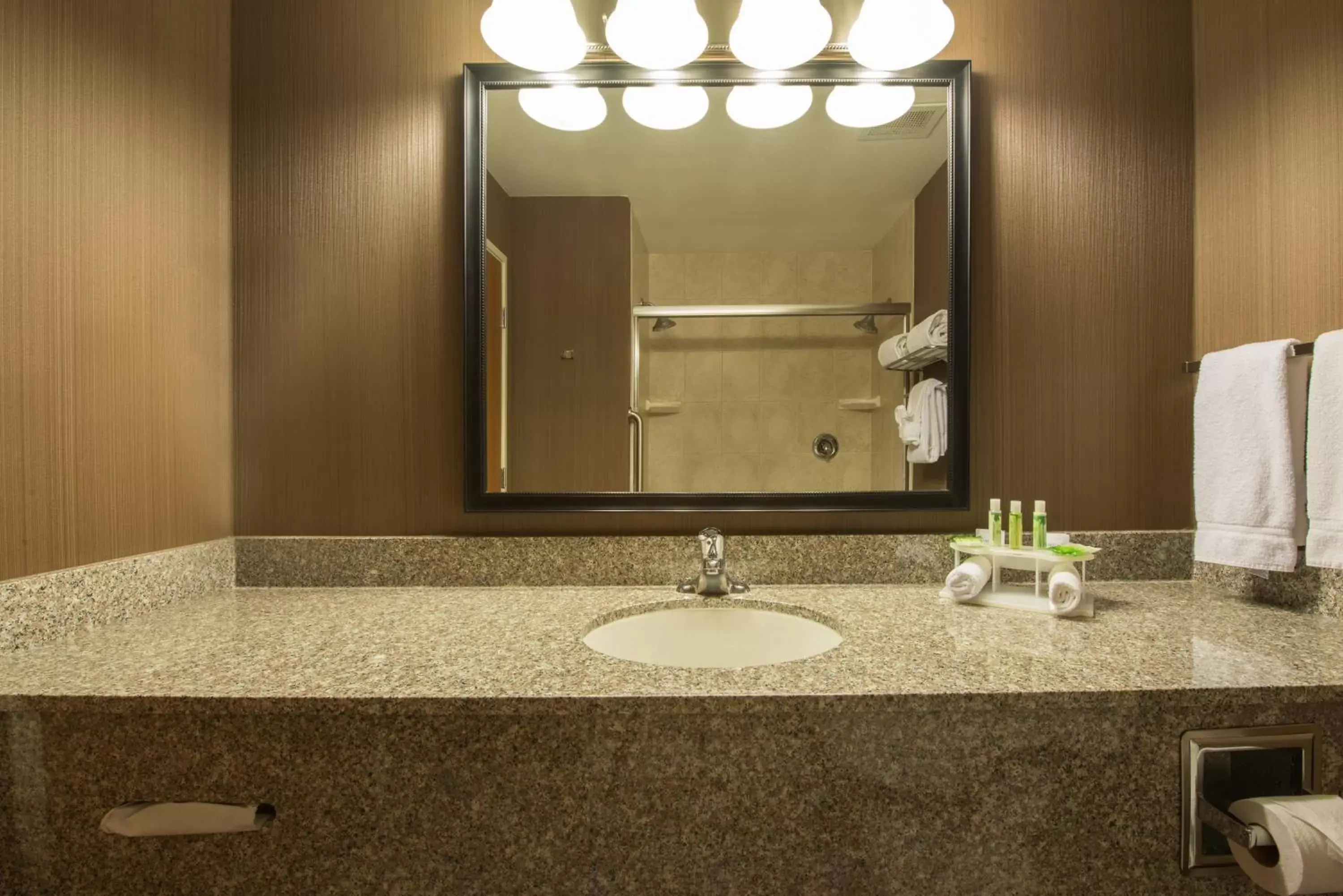 Bathroom in Holiday Inn Express & Suites Douglas, an IHG Hotel