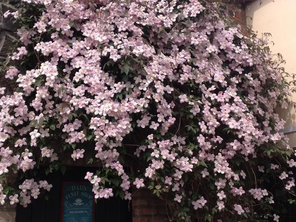 View (from property/room) in Lisnafillan Lodge