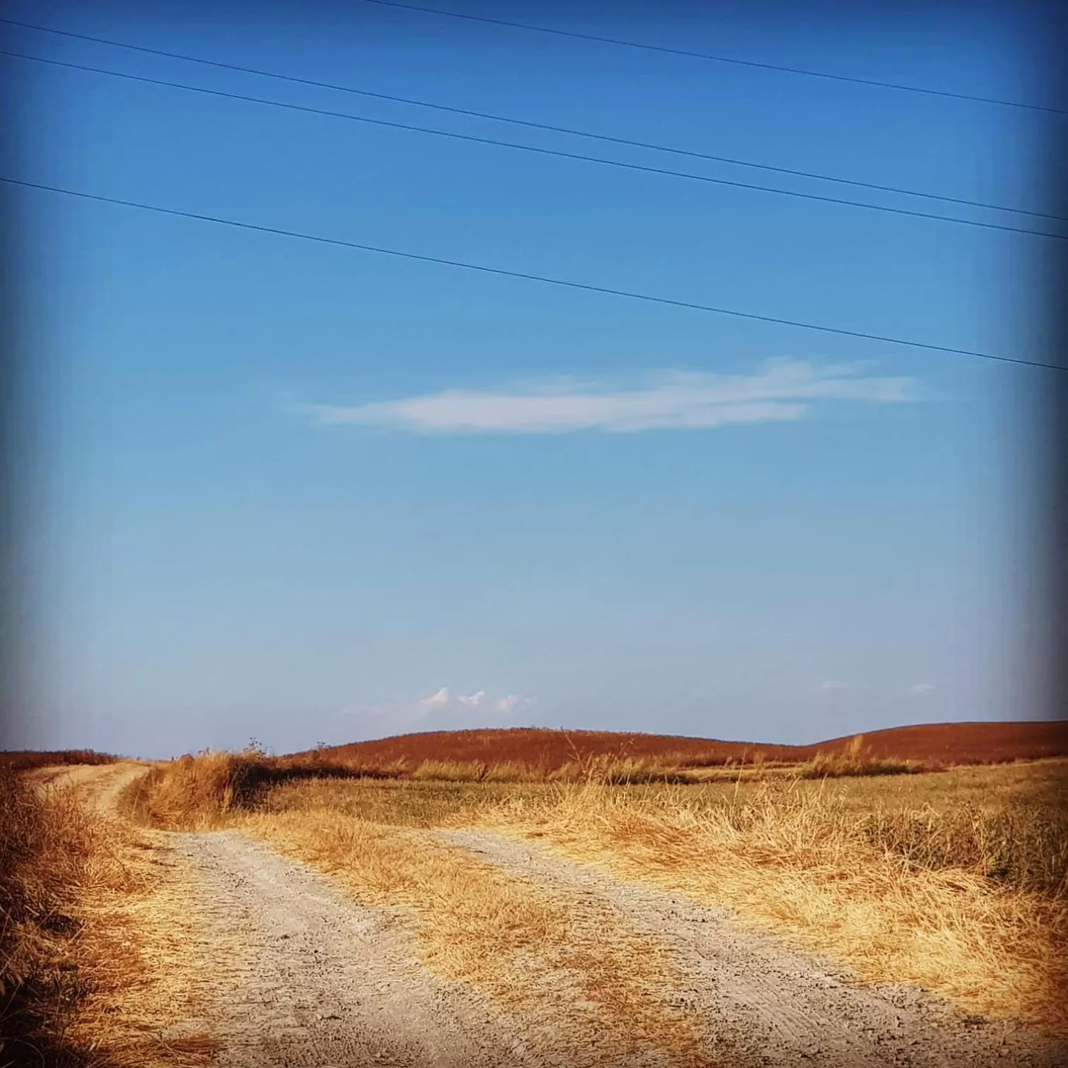 Day in Palazzetto del Pittore in San Quirico d'Orcia