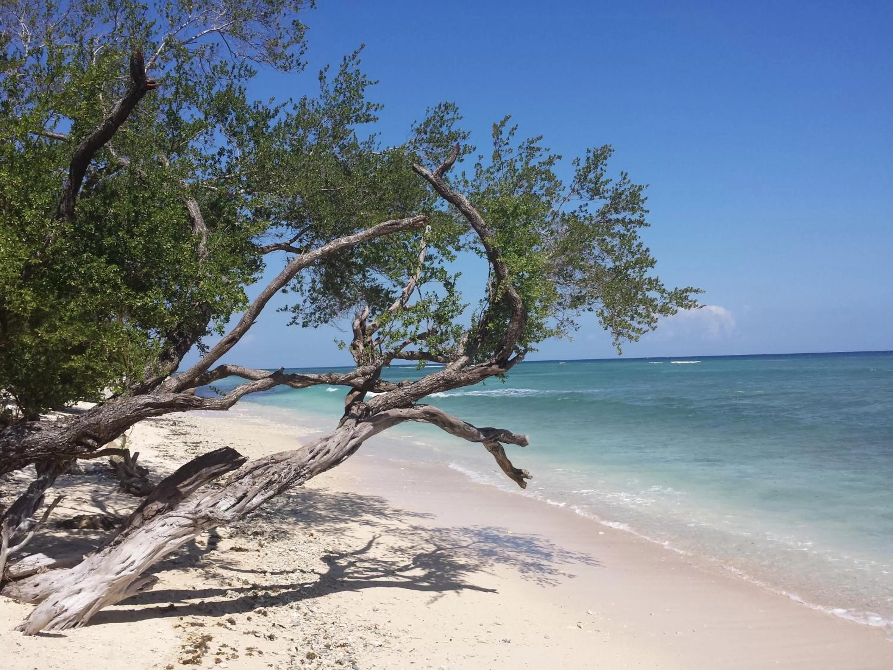 Nearby landmark in Villas Light House - Eco-Traditional Joglo
