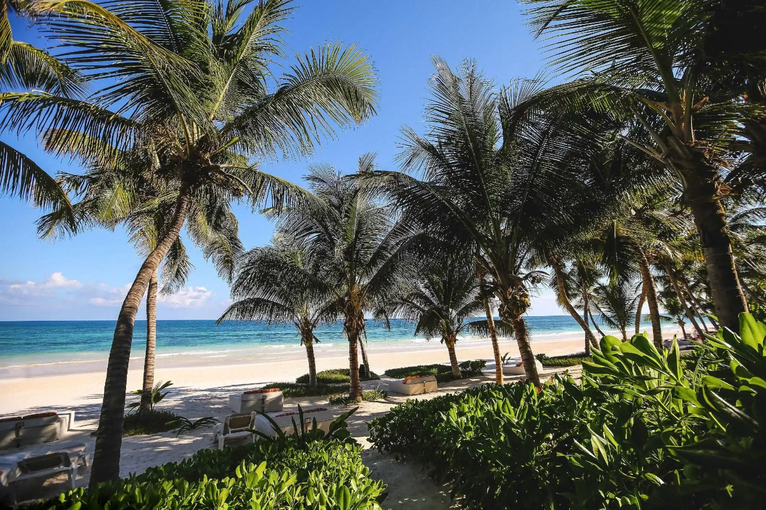 Beach in The Beach Tulum