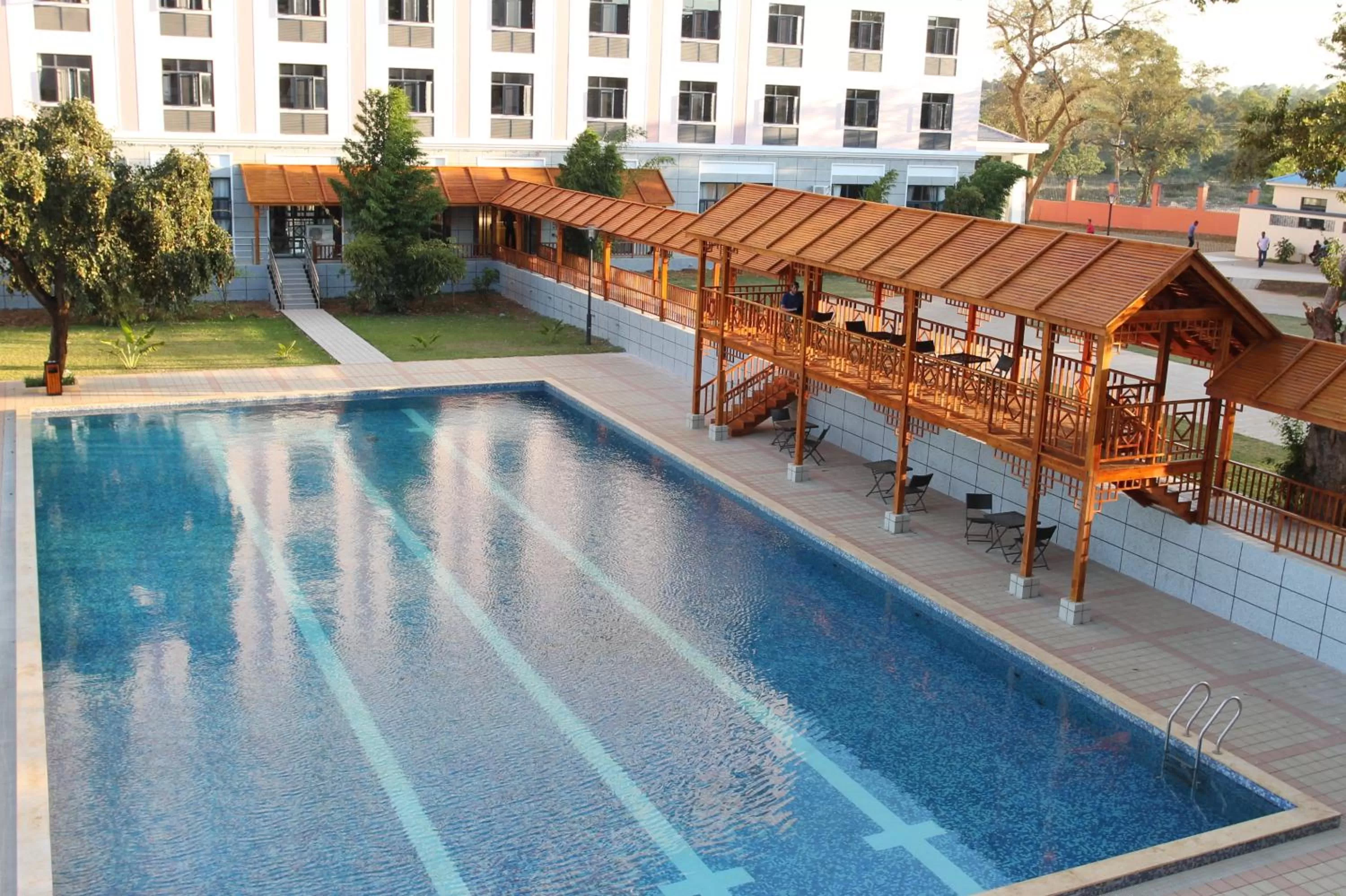  in Sogecoa Golden Peacock