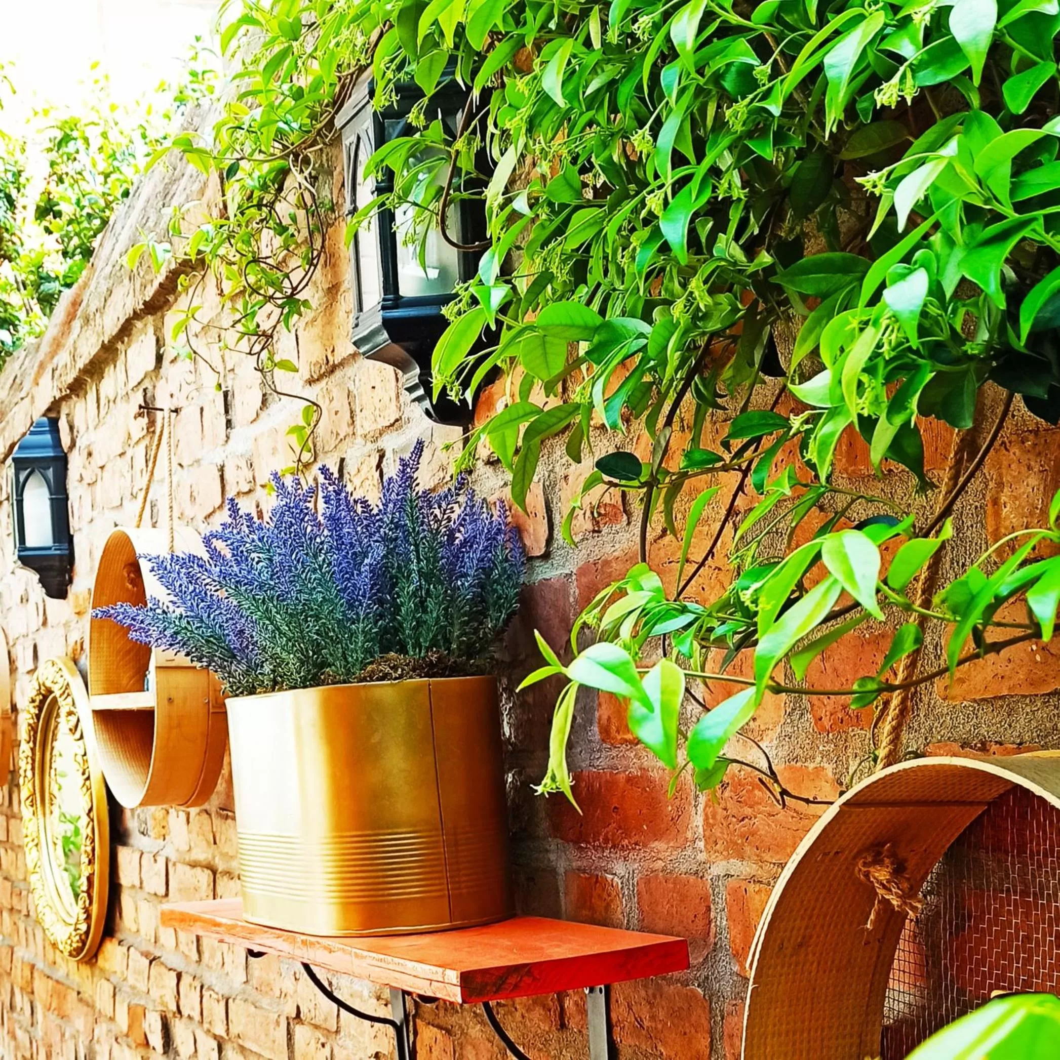 Patio in Set Özer Hotel