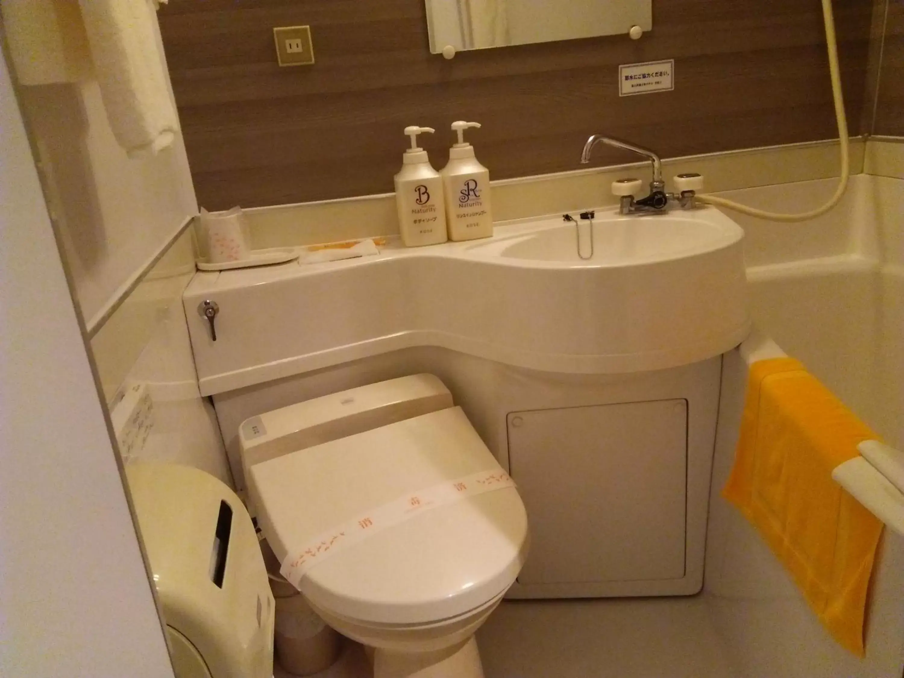 Bathroom in Fujinomiya Fujikyu Hotel