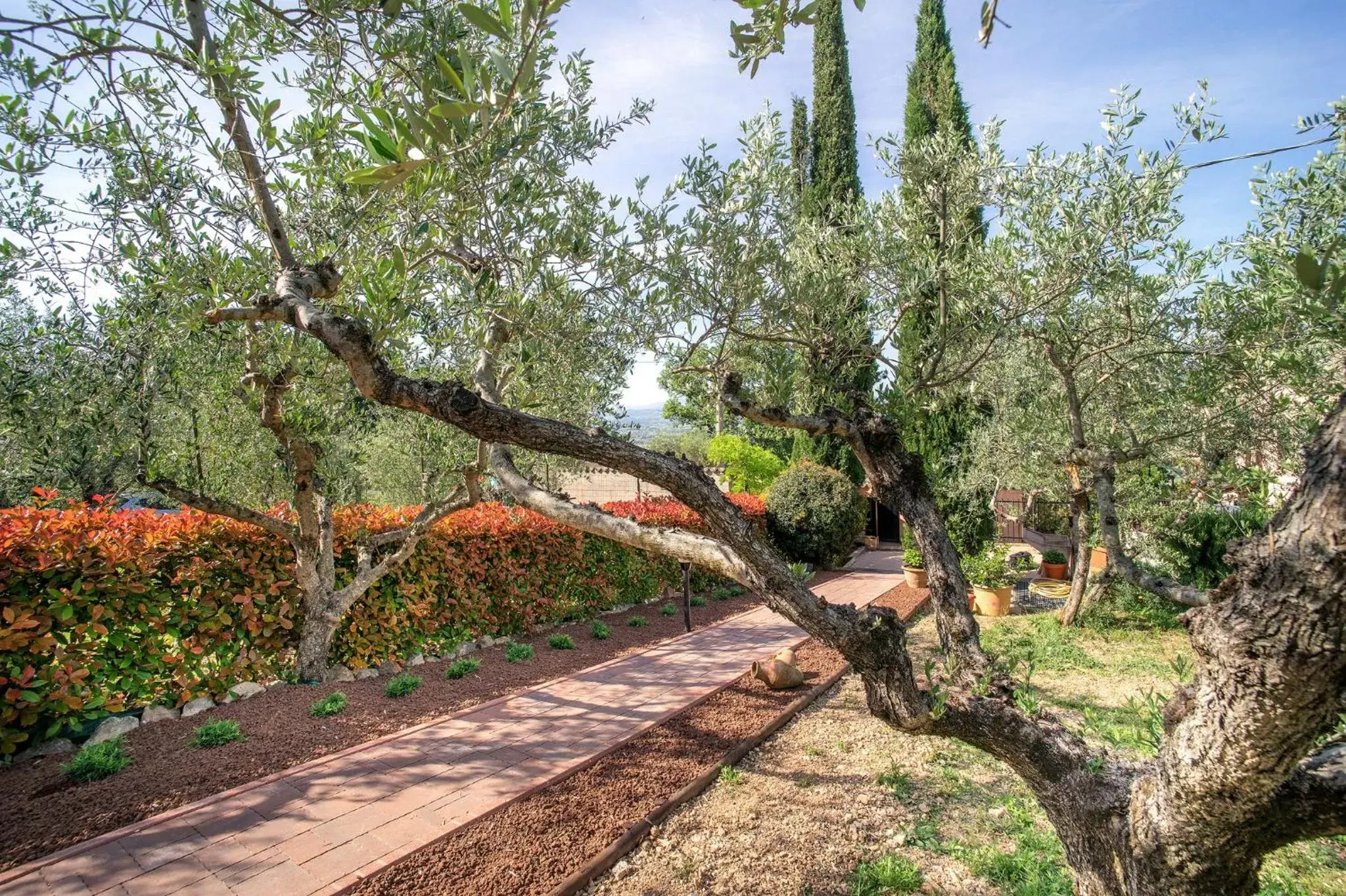 Garden in L'Agrifoglio di Assisi Residenza di Campagna