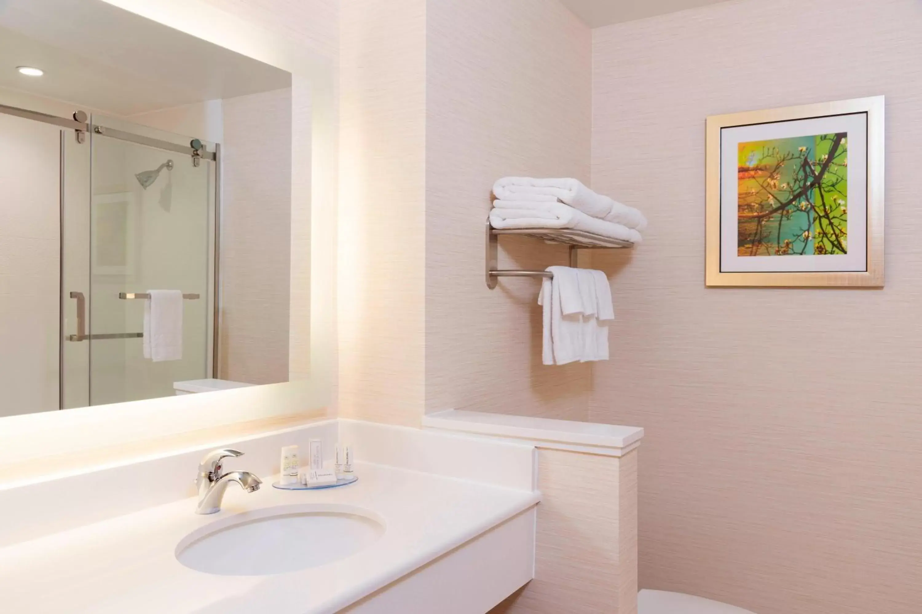 Bathroom in Fairfield Inn & Suites by Marriott Medina