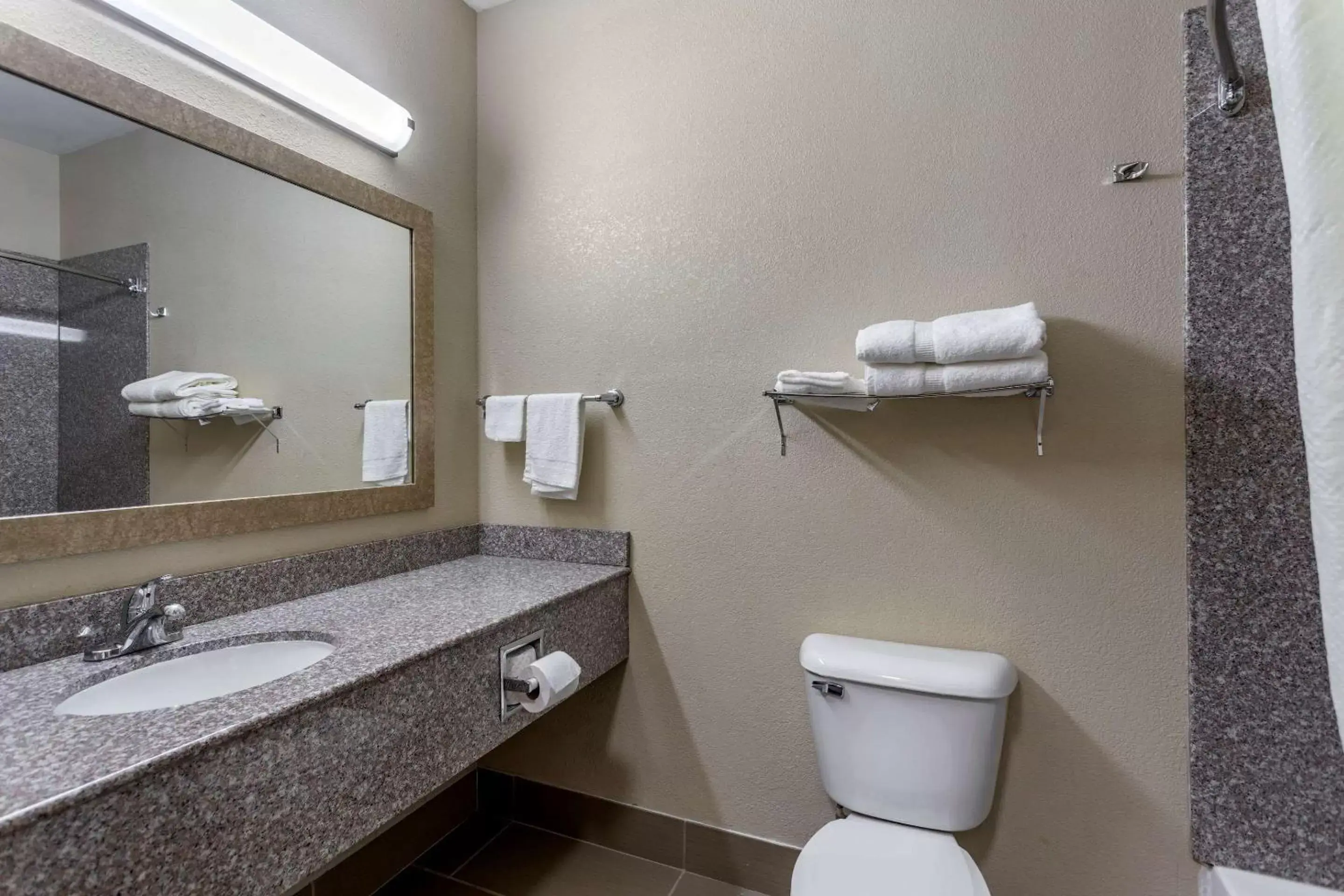 Bathroom in Comfort Inn & Suites Carbondale University Area