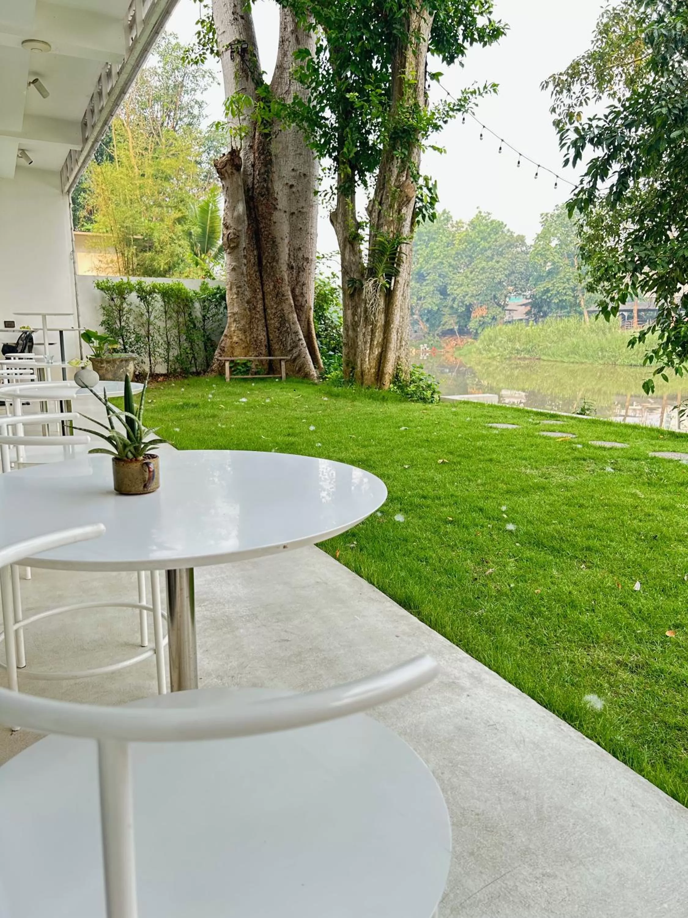 Garden in Little Shelter Hotel Chiangmai