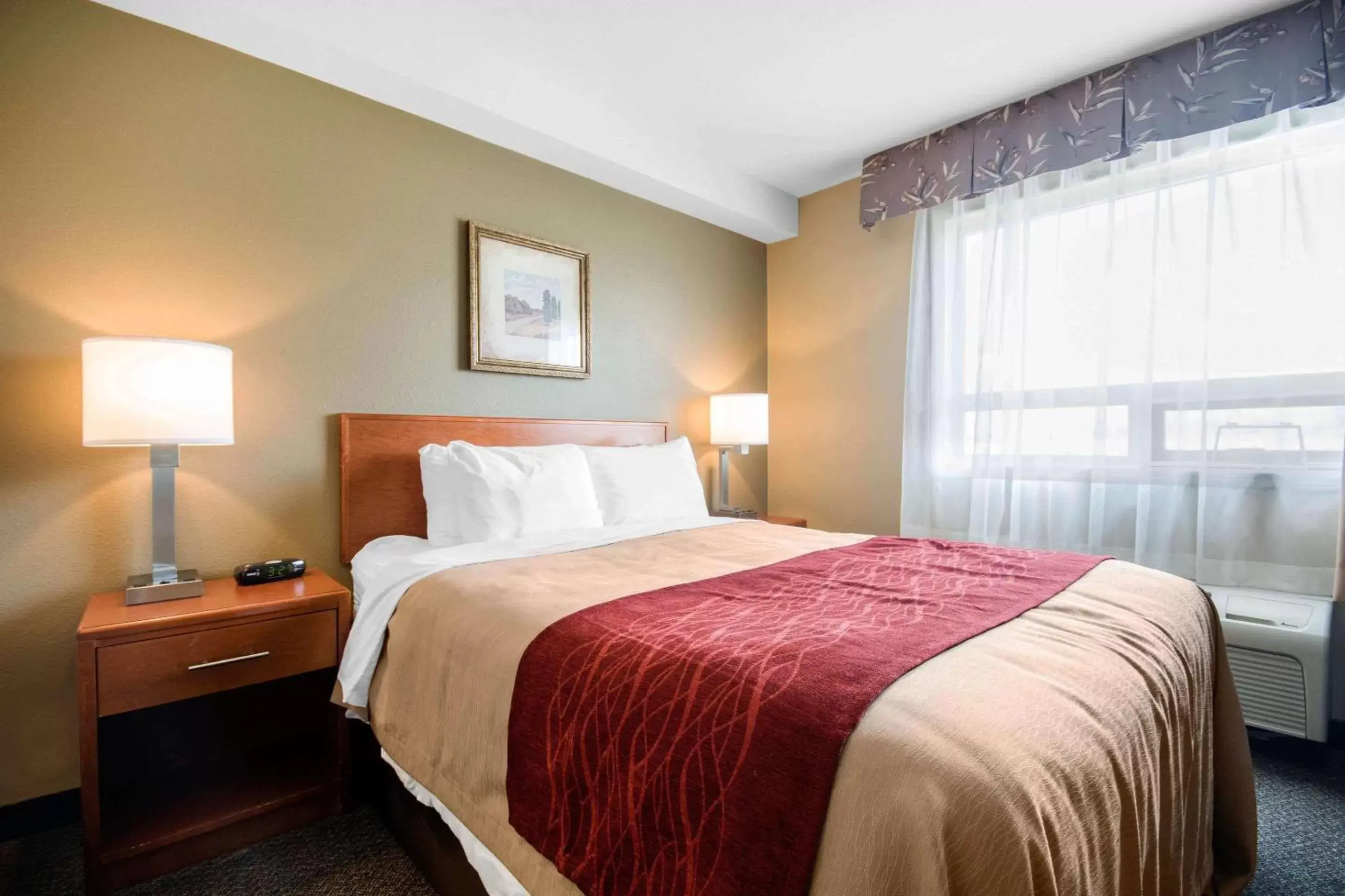 Photo of the whole room, Bed in Comfort Inn & Suites Langley