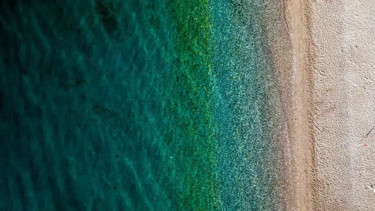 Sea view, Beach in Albatros Beach Hotel