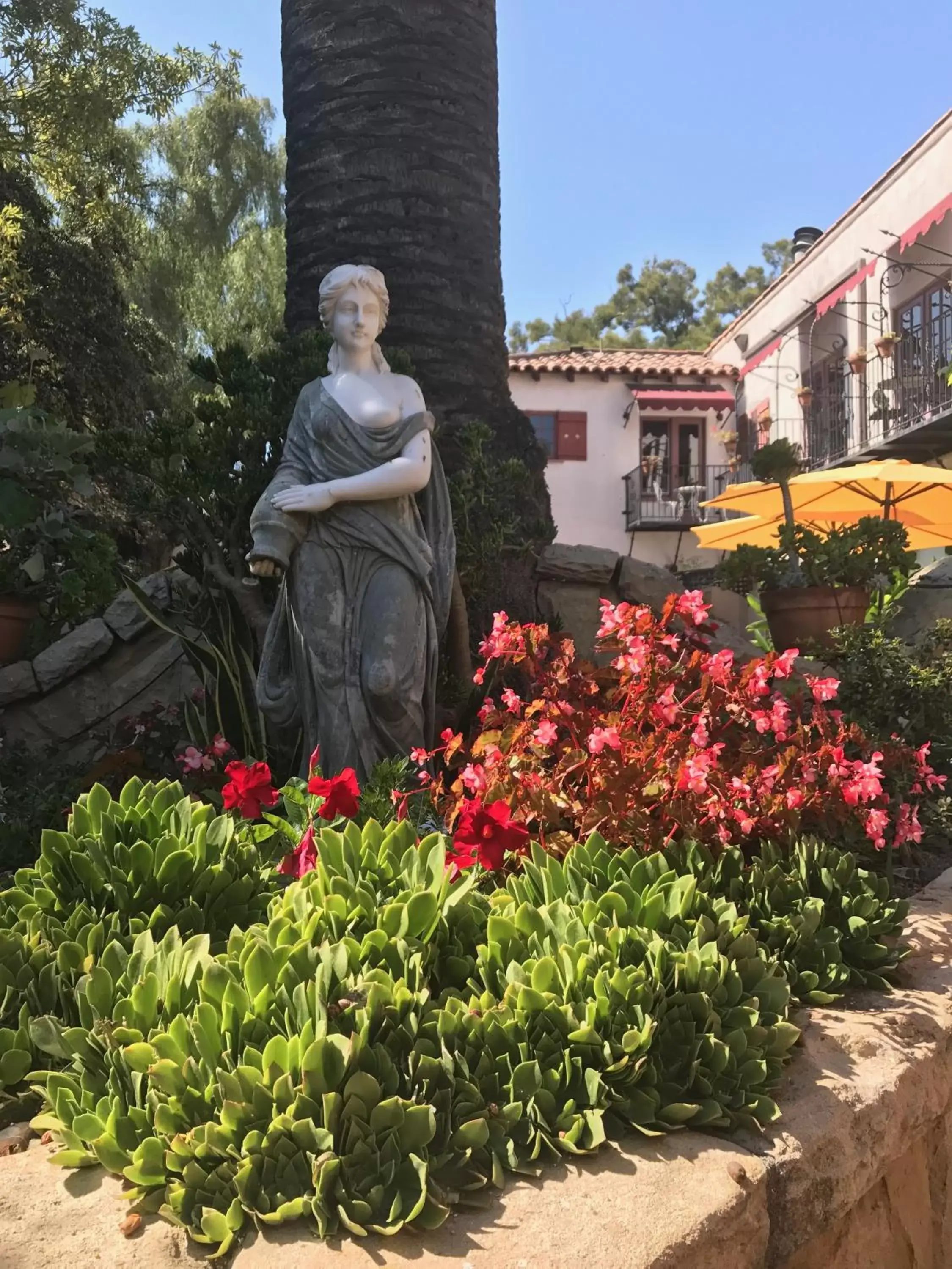 Garden in Villa Rosa Inn