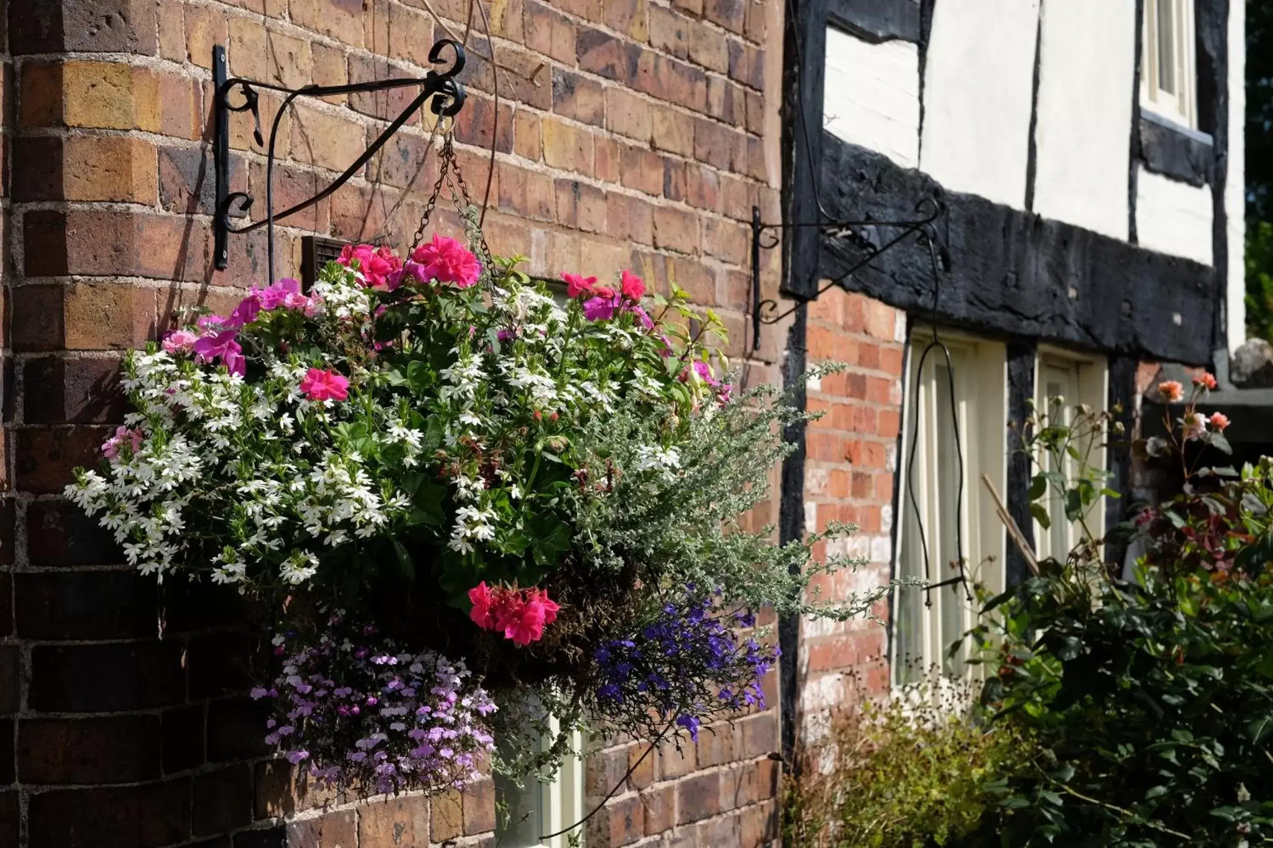 Garden, Property Building in The Raven Hotel