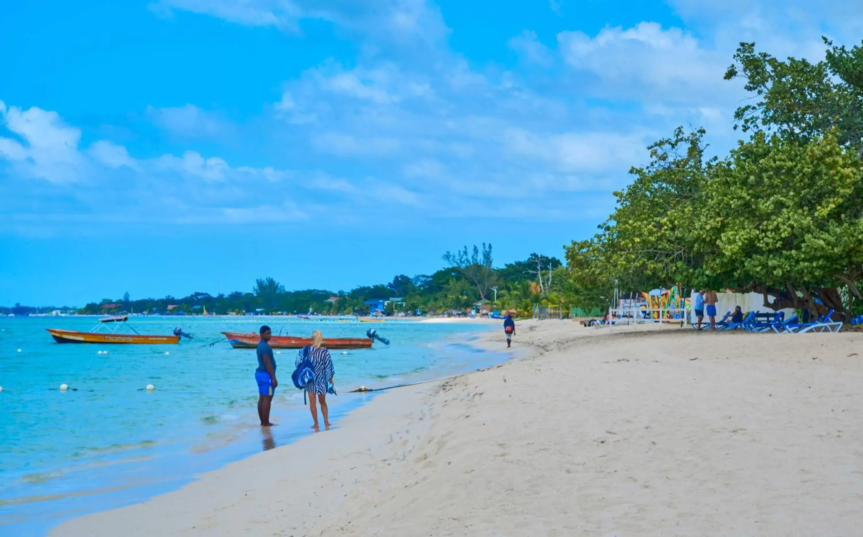 People, Beach in Yellow Bird Sea