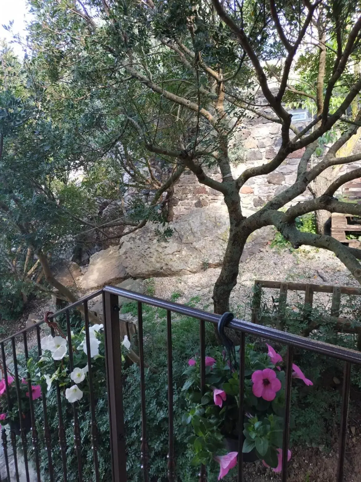 Balcony/Terrace in B&B Ottoulivi