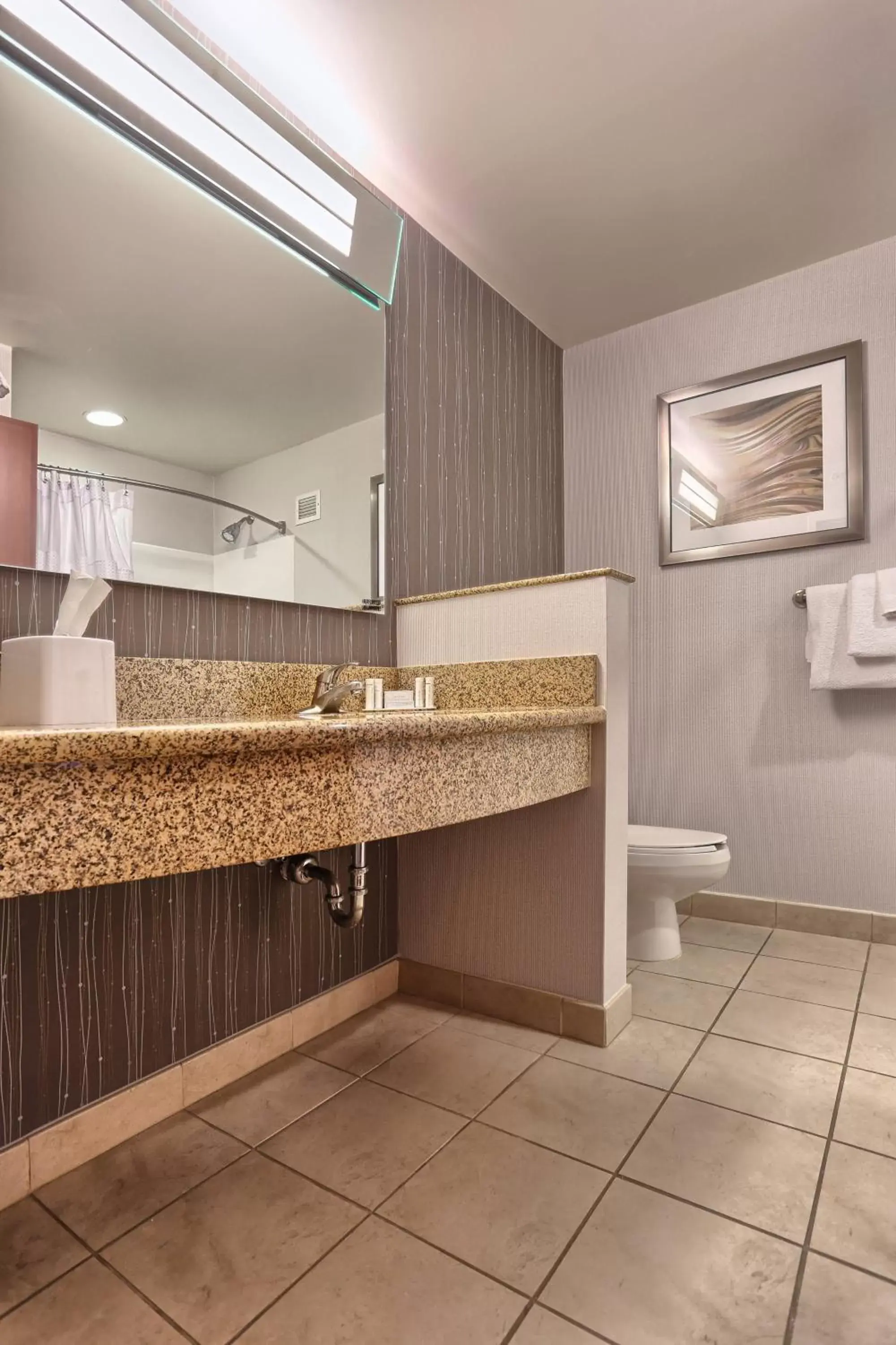 Bathroom in Courtyard by Marriott Harrisburg West/Mechanicsburg