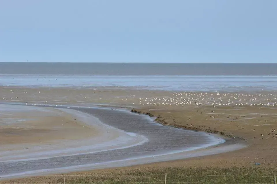 Area and facilities, Natural Landscape in 't Laaisterplakky