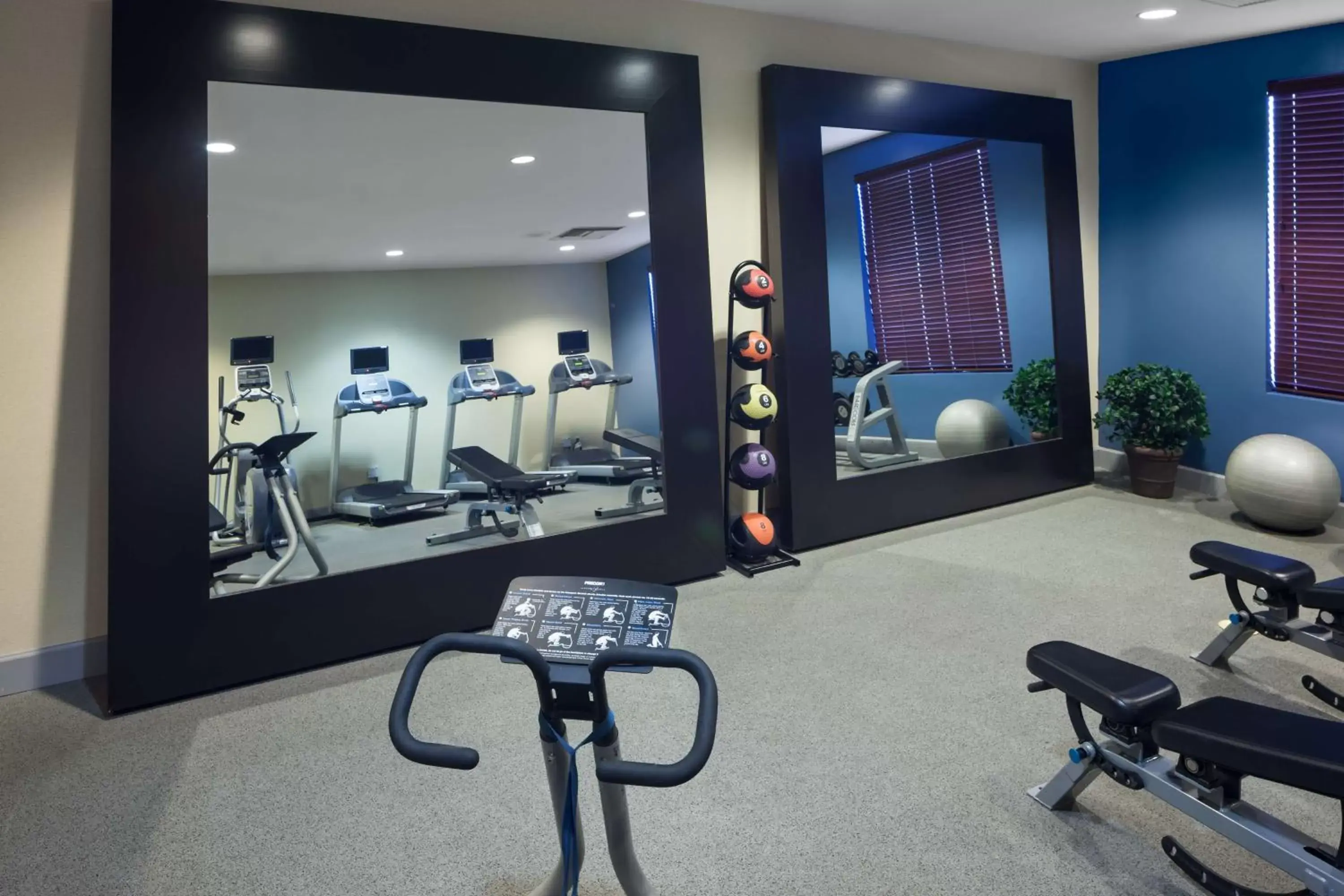 Fitness centre/facilities, Fitness Center/Facilities in Hilton Garden Inn Tucson Airport