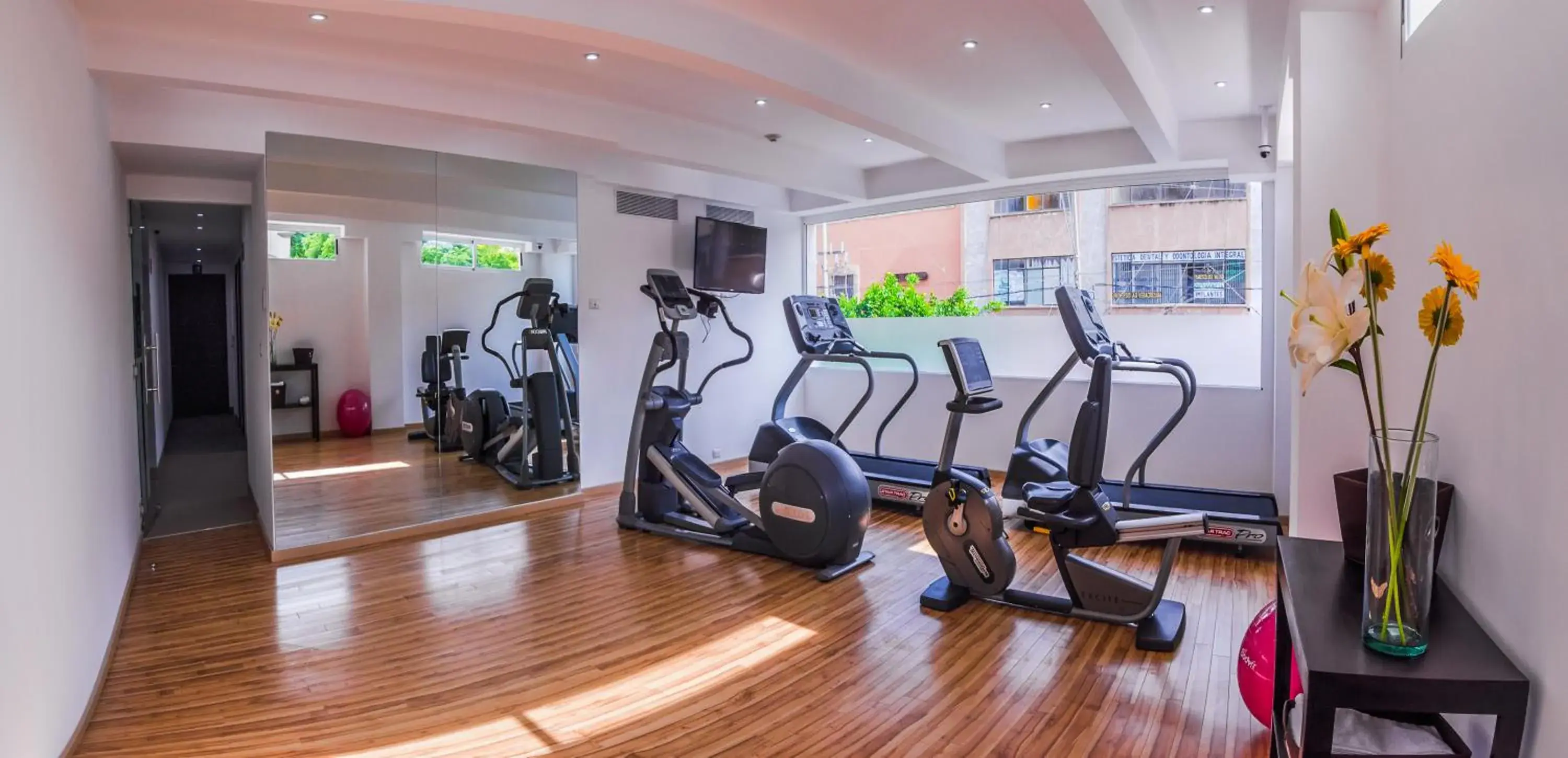 Fitness centre/facilities, Fitness Center/Facilities in Hotel Zenith