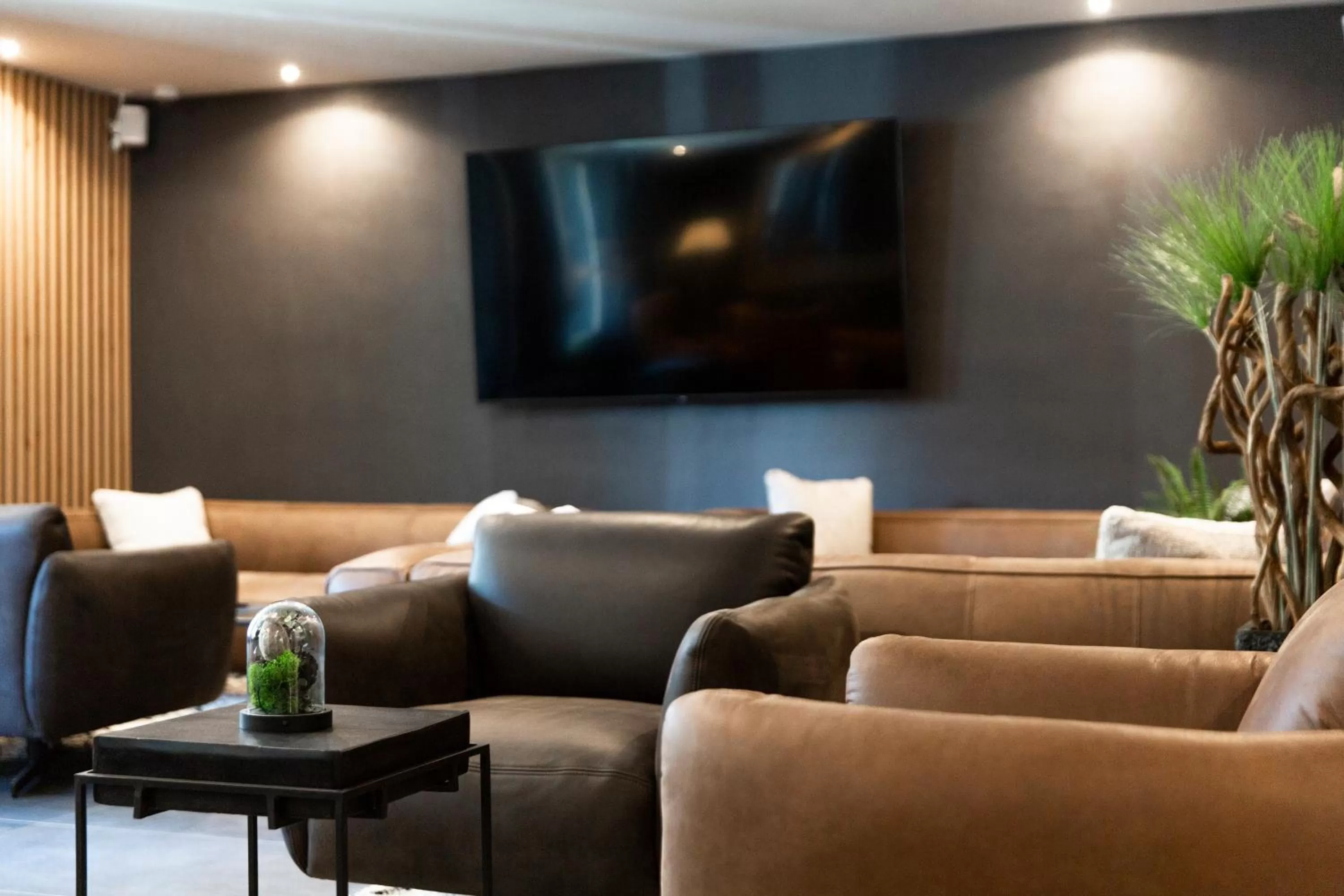 TV and multimedia in Stadthotel Lichtenfels