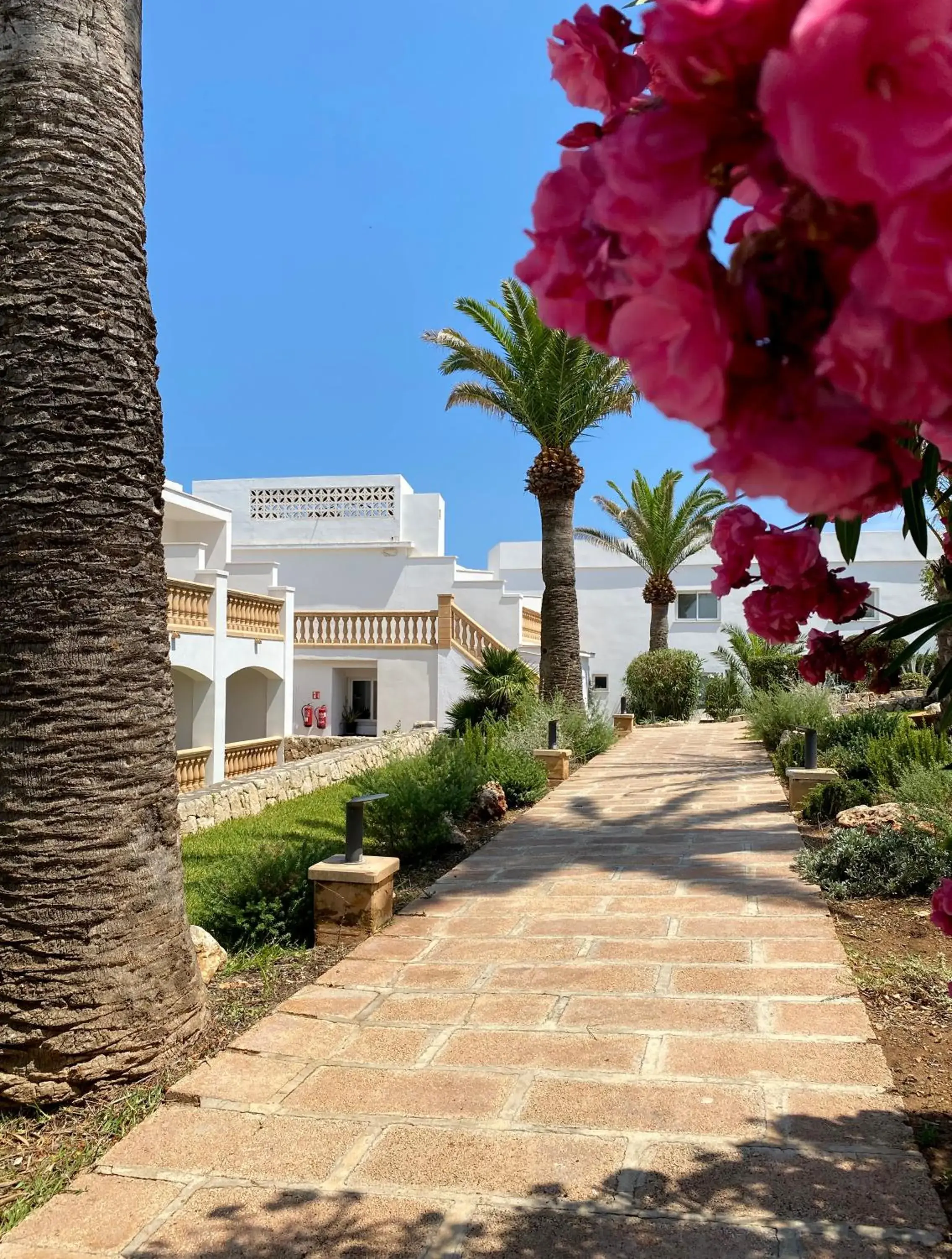 Property building in ICON Valparaiso - Adults Only Property building in ICON Valparaiso - Adults Only