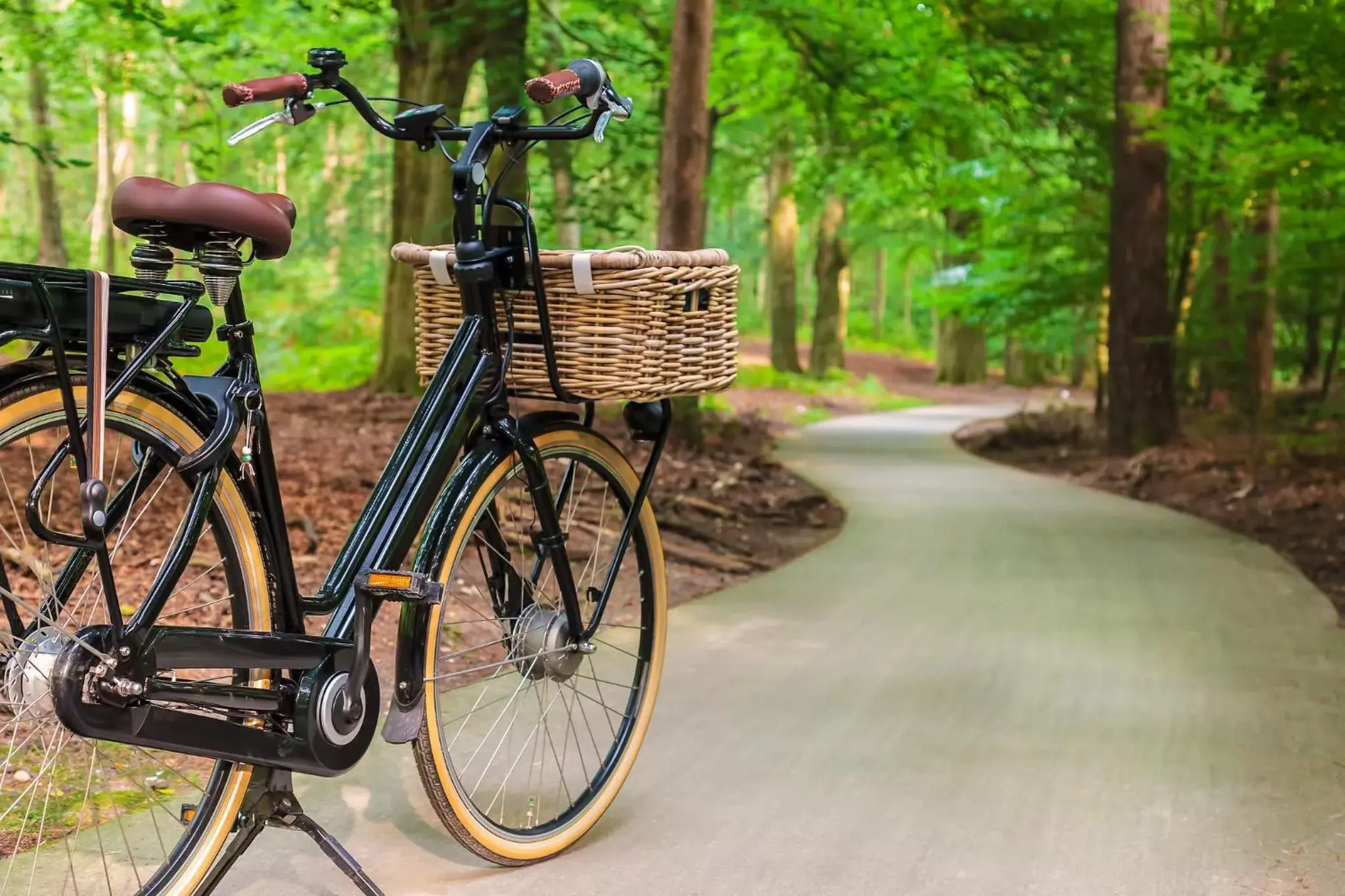 Activities, Biking in Heerlickheijd van Ermelo