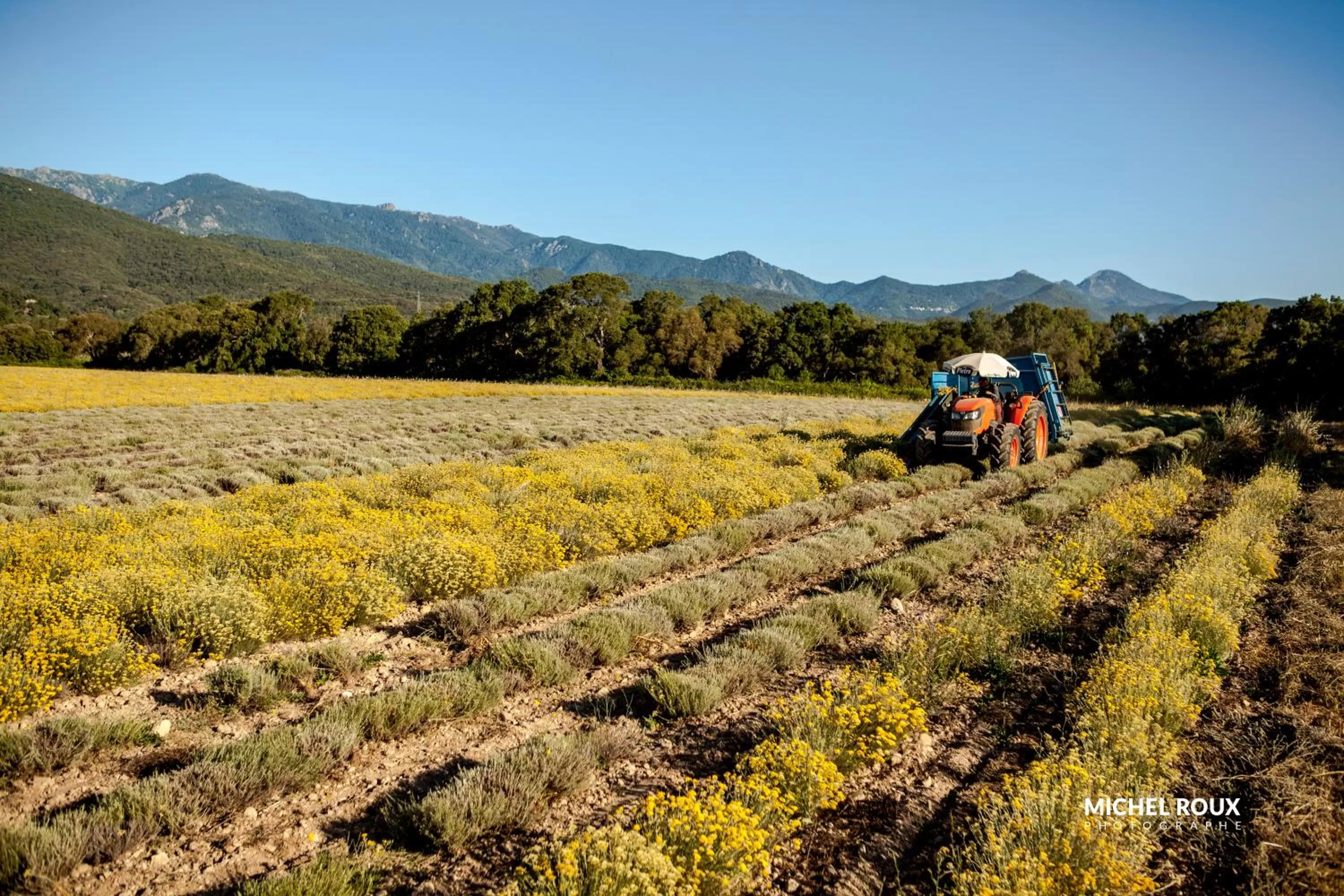 Hôtel A casa di Maria Cicilia