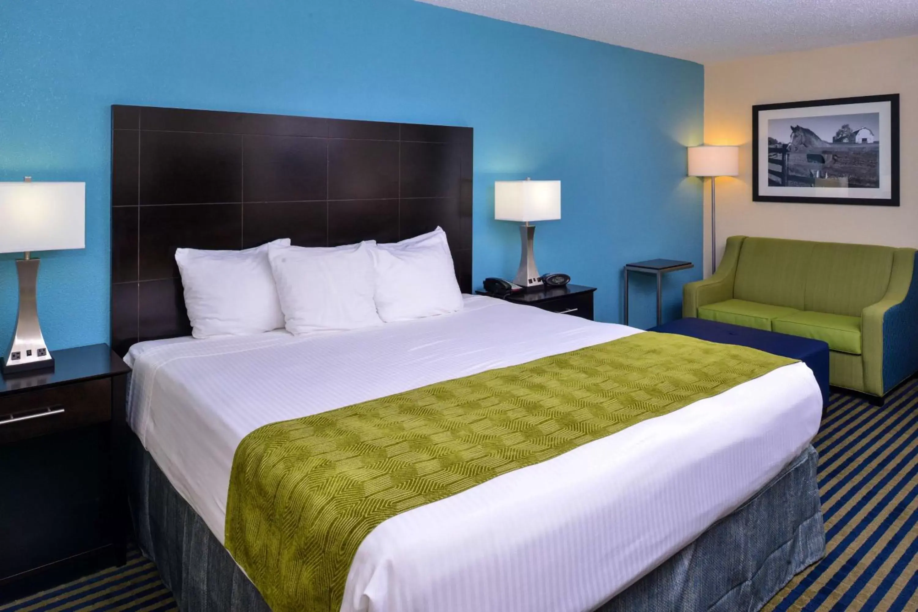 King Room - Disability Access/Non-Smoking in Best Western Leesburg