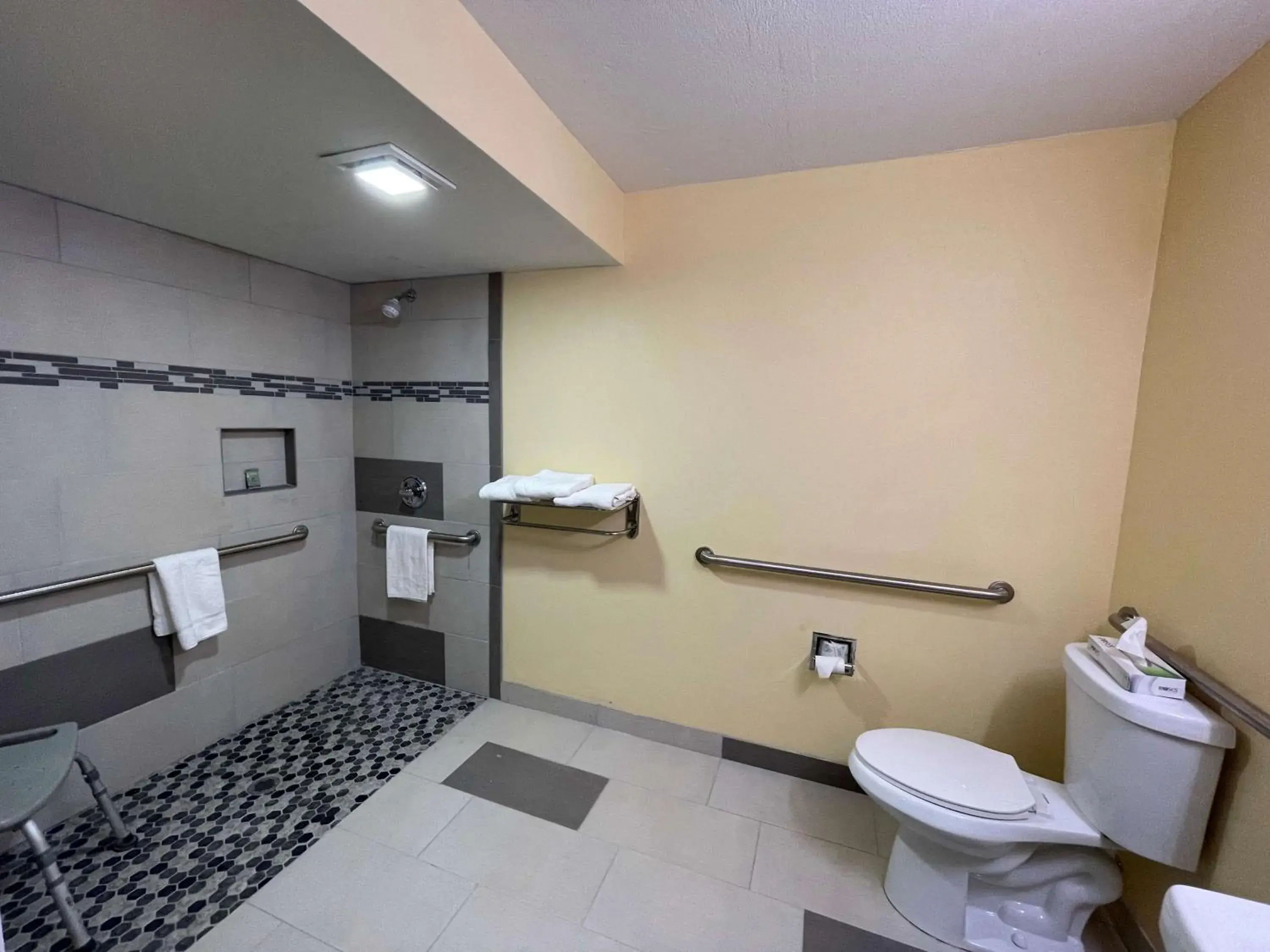 Bathroom in SureStay Plus Hotel by Best Western Odessa