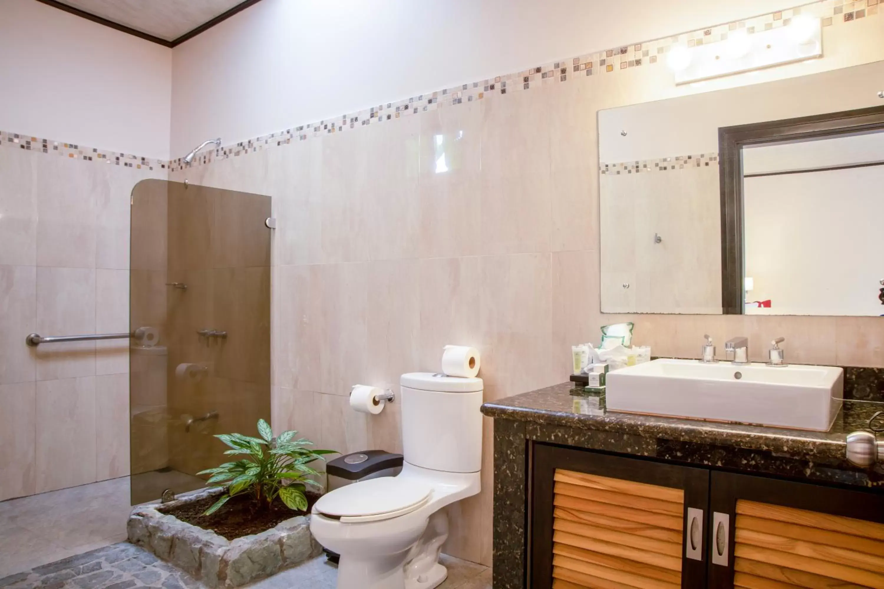 Bathroom in Arenal Manoa Resort & Hot Springs