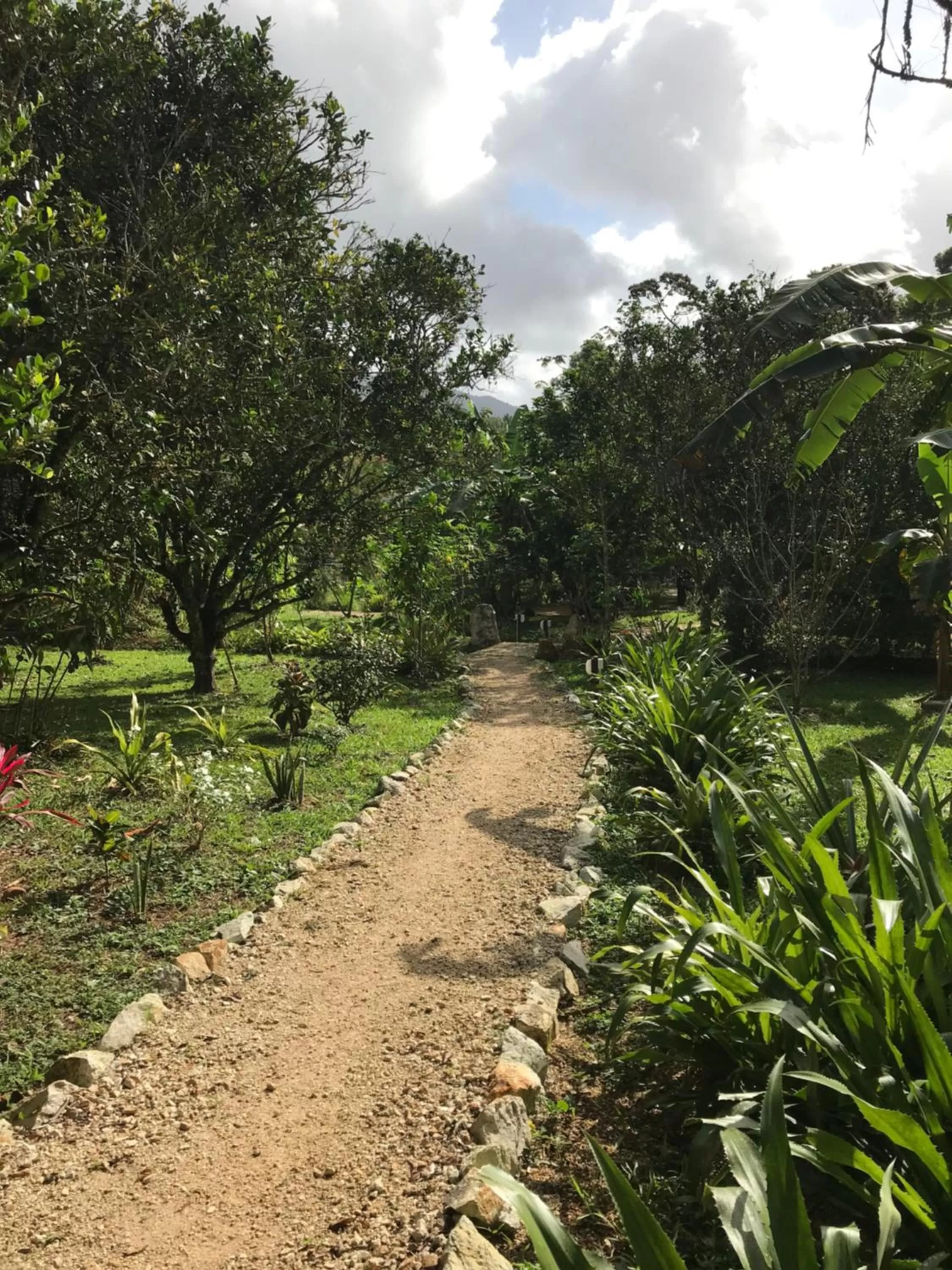 Garden in Sattva Land
