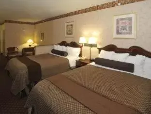 Bed in Best Western Plus Shamrock Inn & Suites