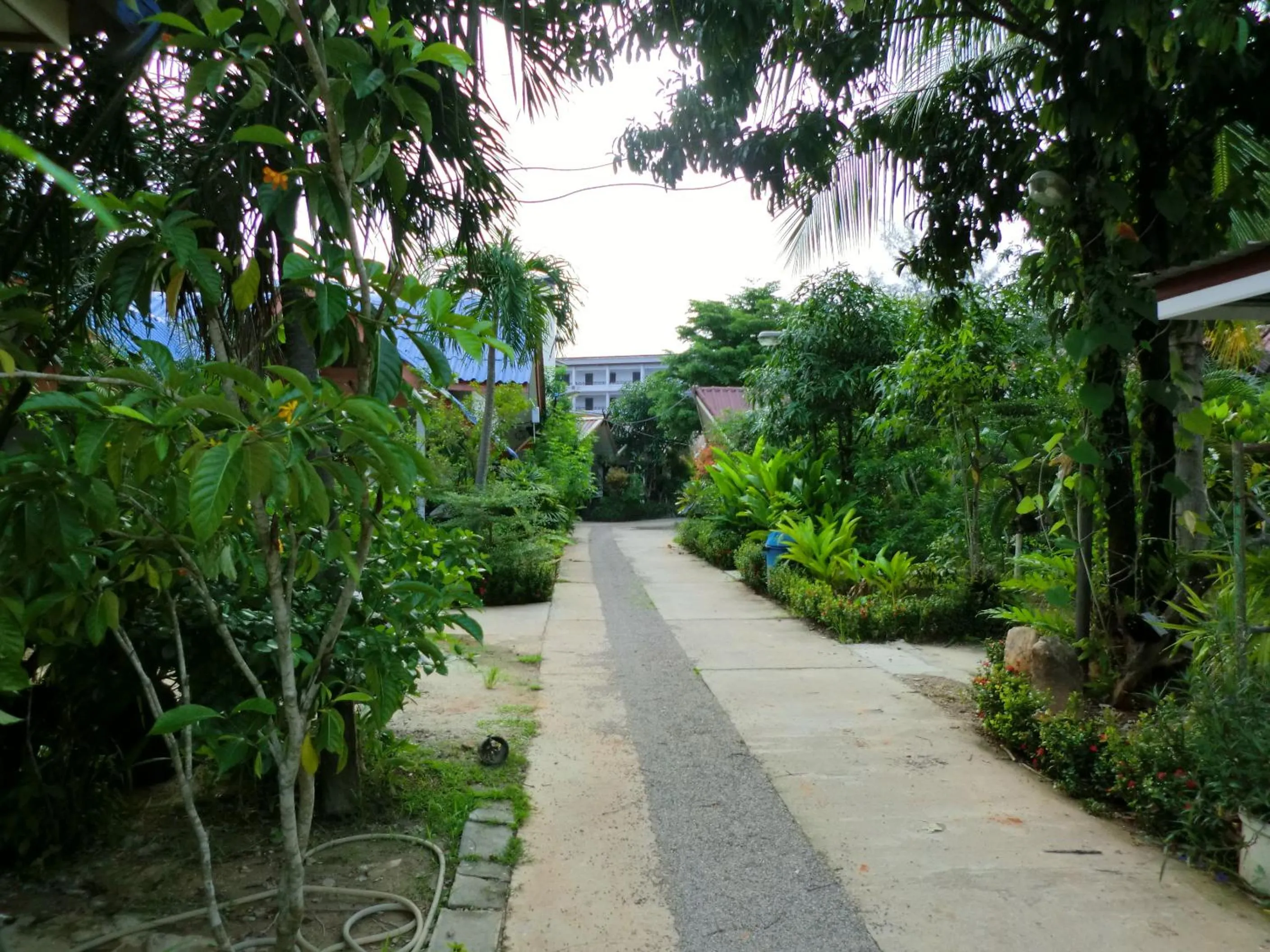 Garden in The Krabi Forest Homestay