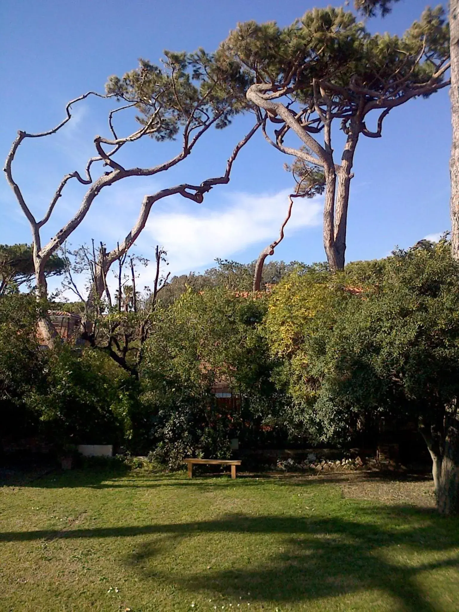 Garden in Il Miraggio