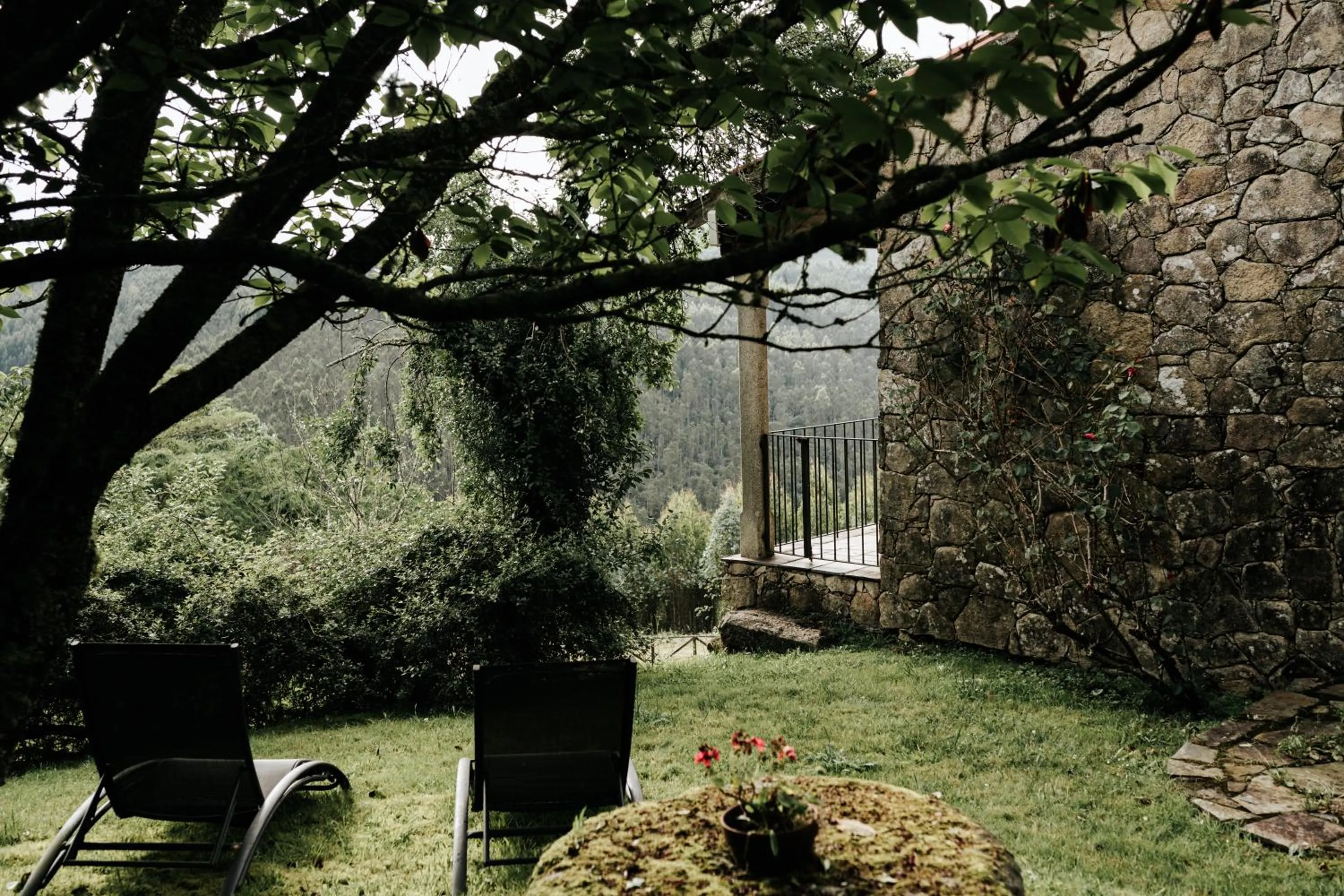 Garden in Casa Grande Do Bachao