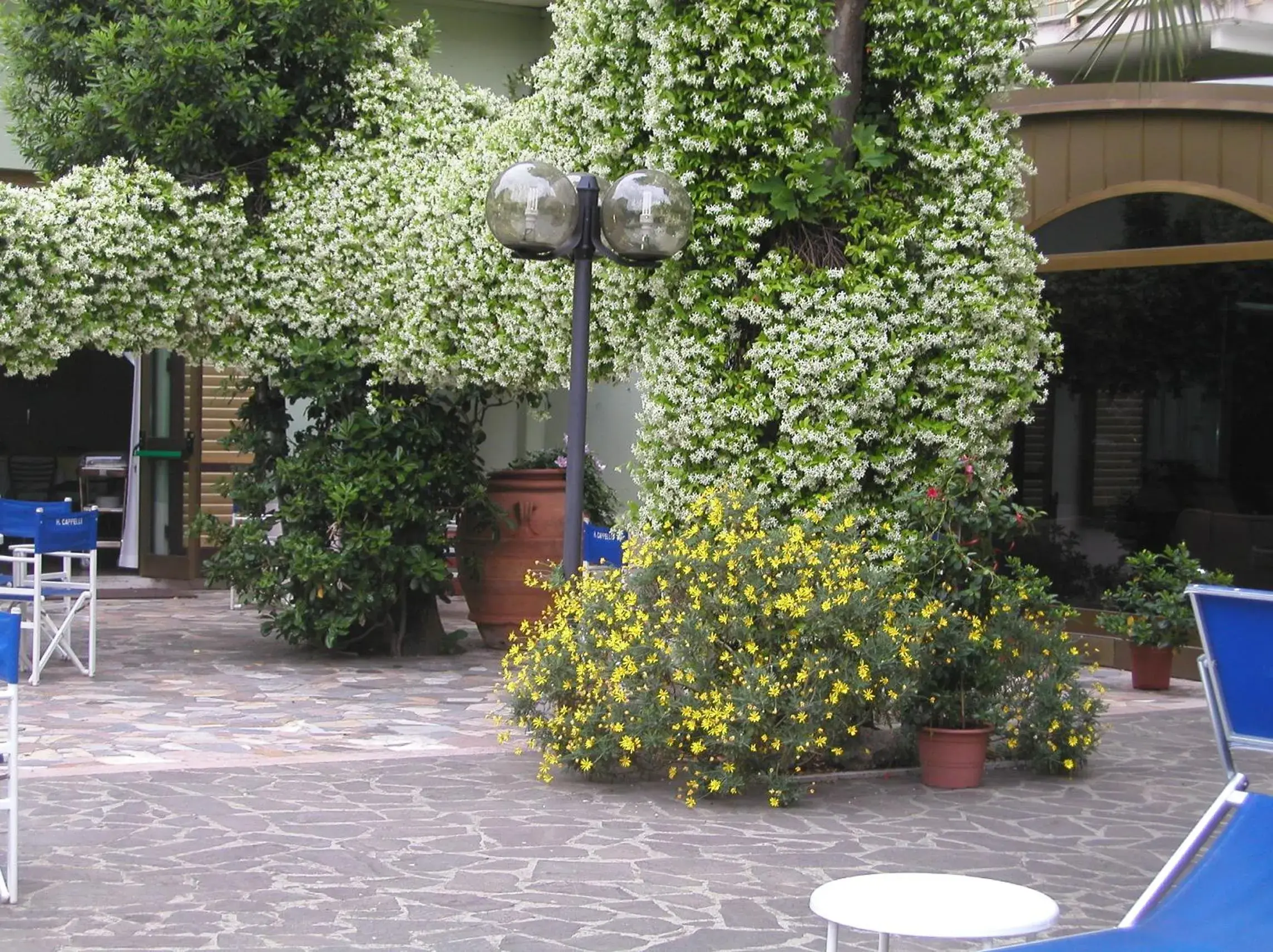 Garden in Hotel Cappelli