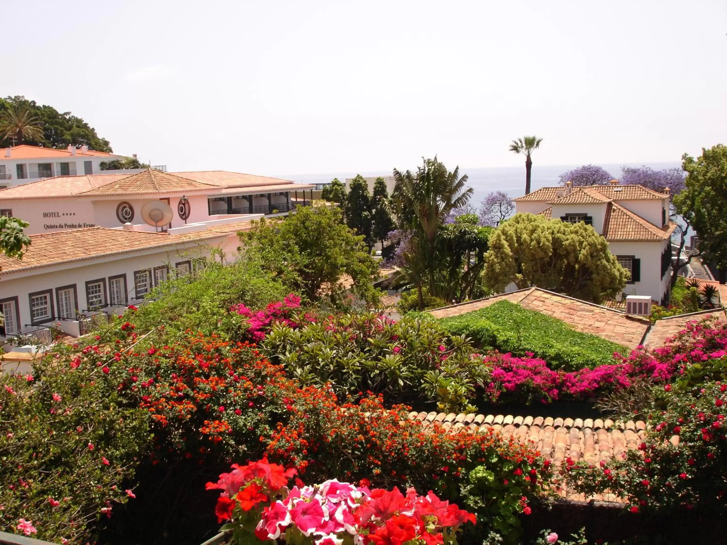 Garden in Quinta Da Penha De Franca