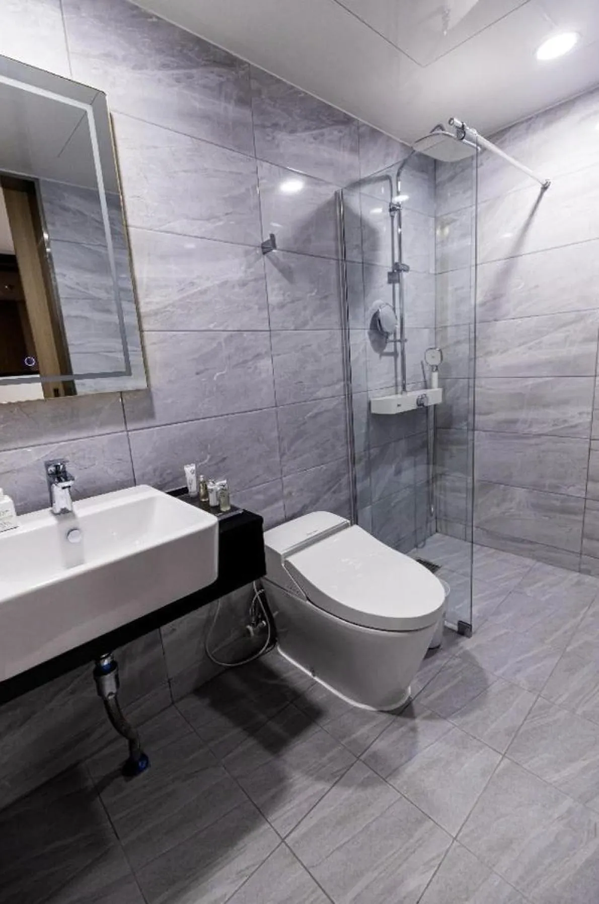 Toilet in Ashton Hotel