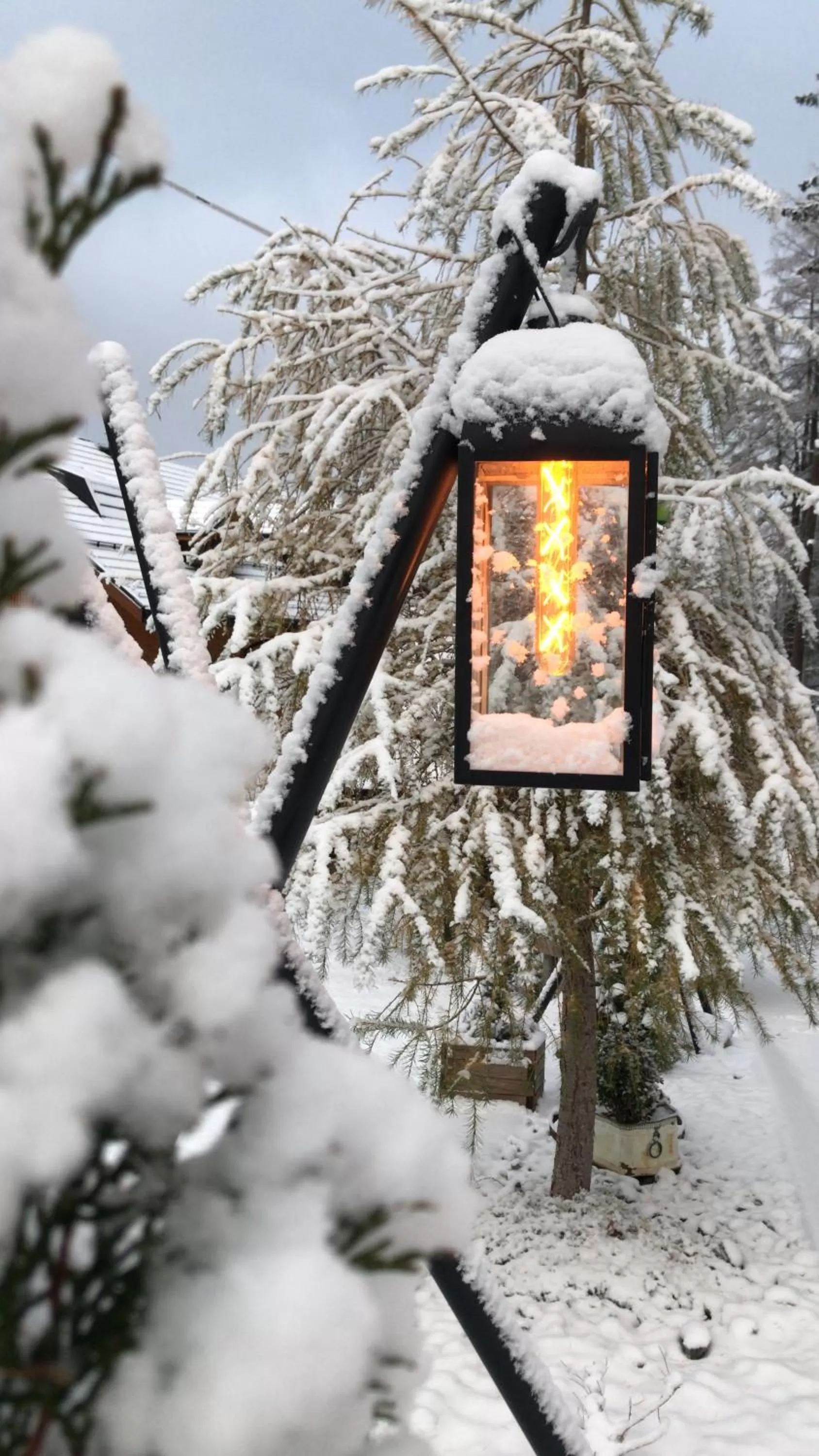 Winter in Safir przy samym WYCIĄGU