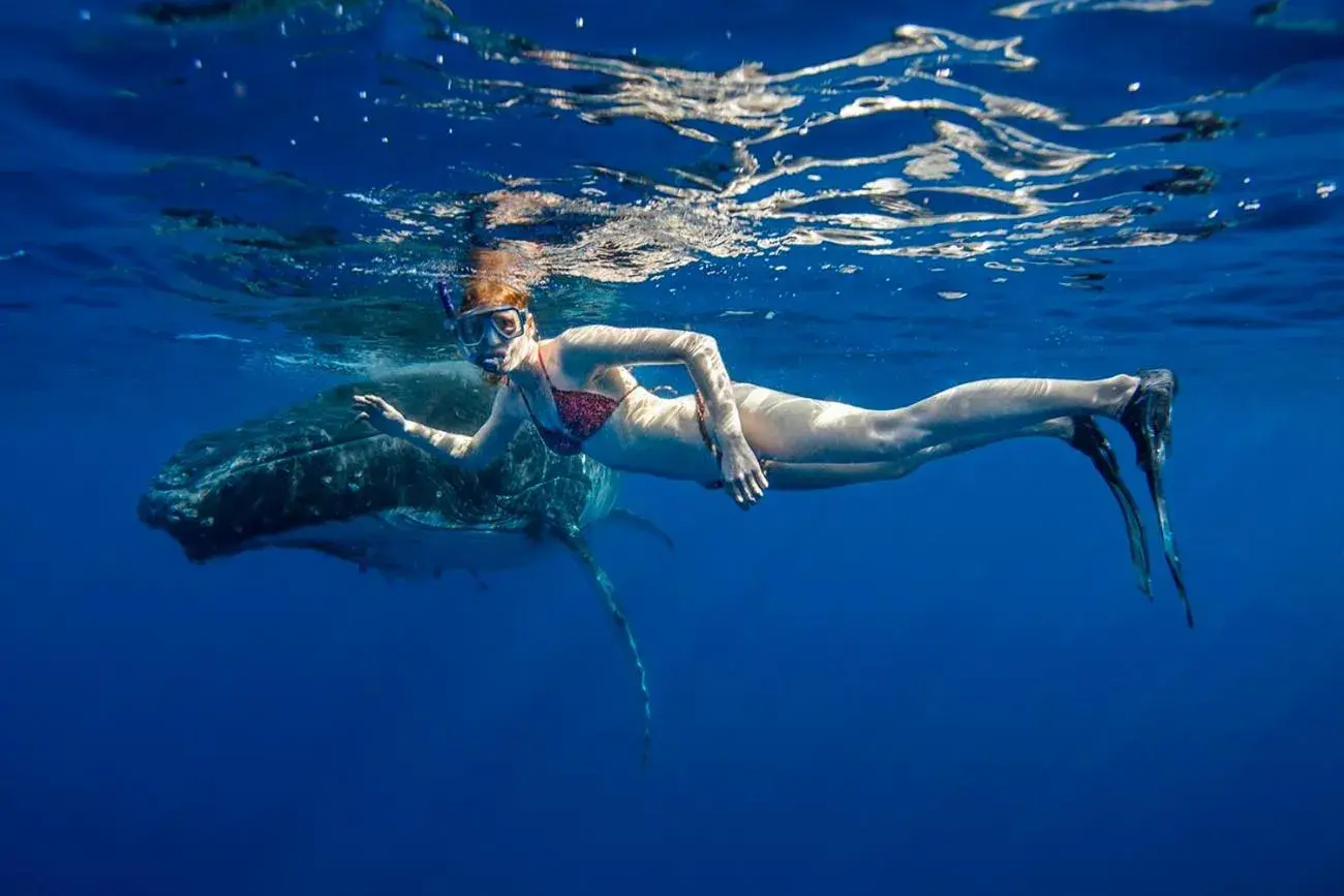 Other Animals in Ningaloo Lodge Exmouth