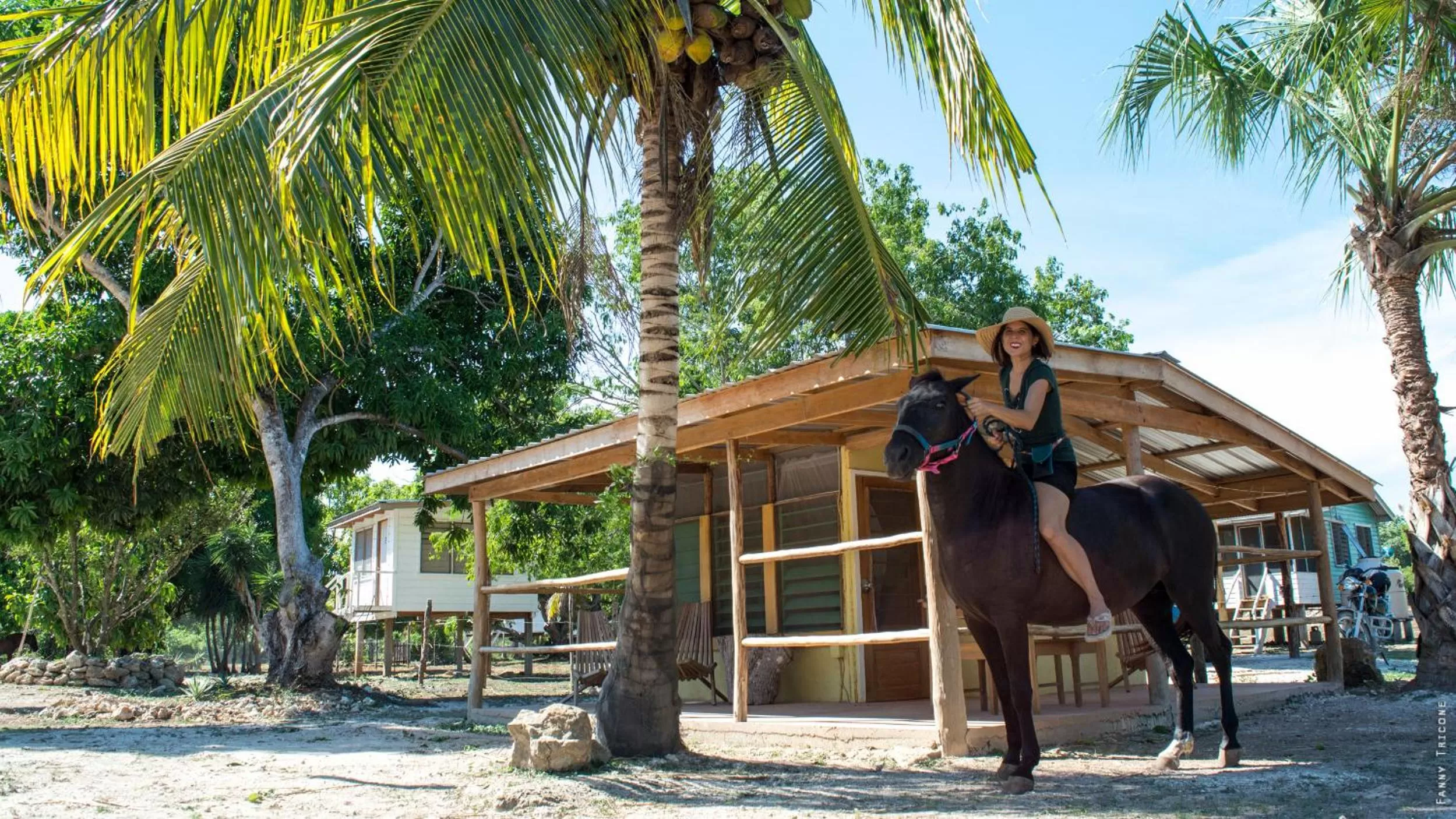 Horse-riding in Horse Cottage
