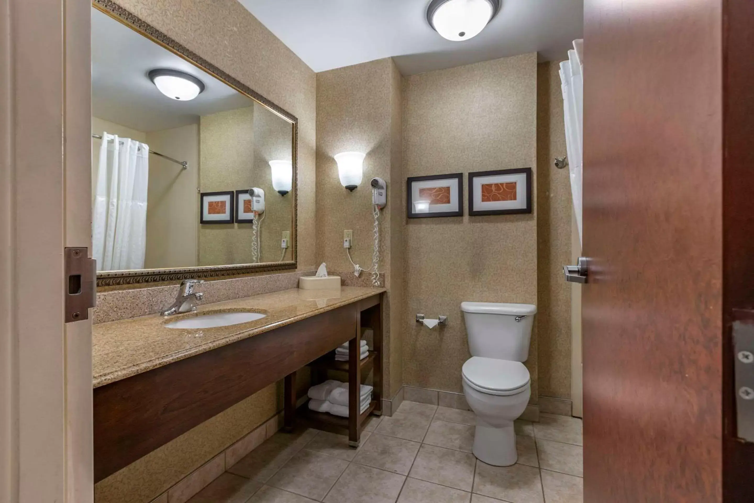 Bathroom in Comfort Suites Grand Rapids South