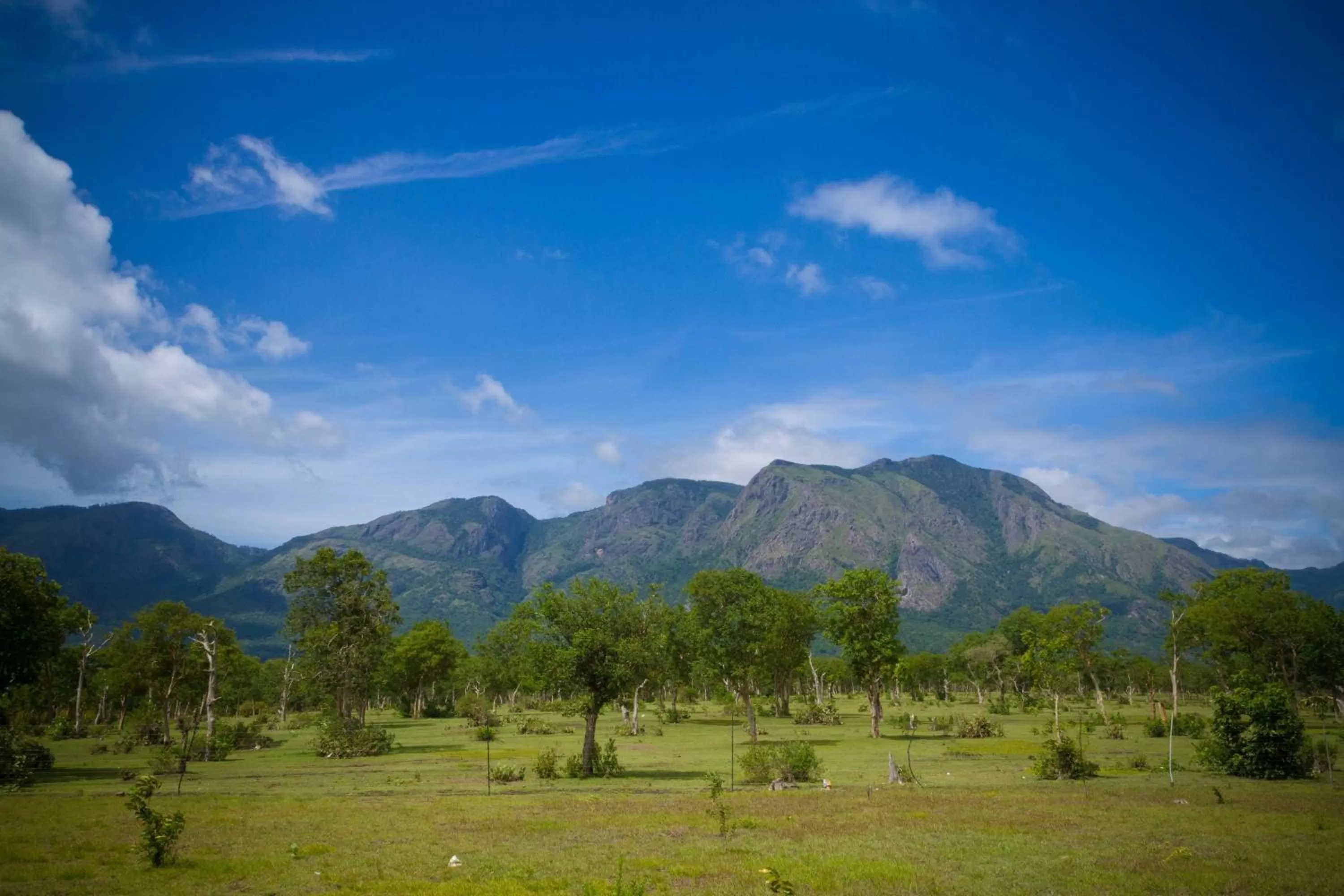 Nearby landmark in labdhi Resorts Masinagudi- Stag Groups not allowed