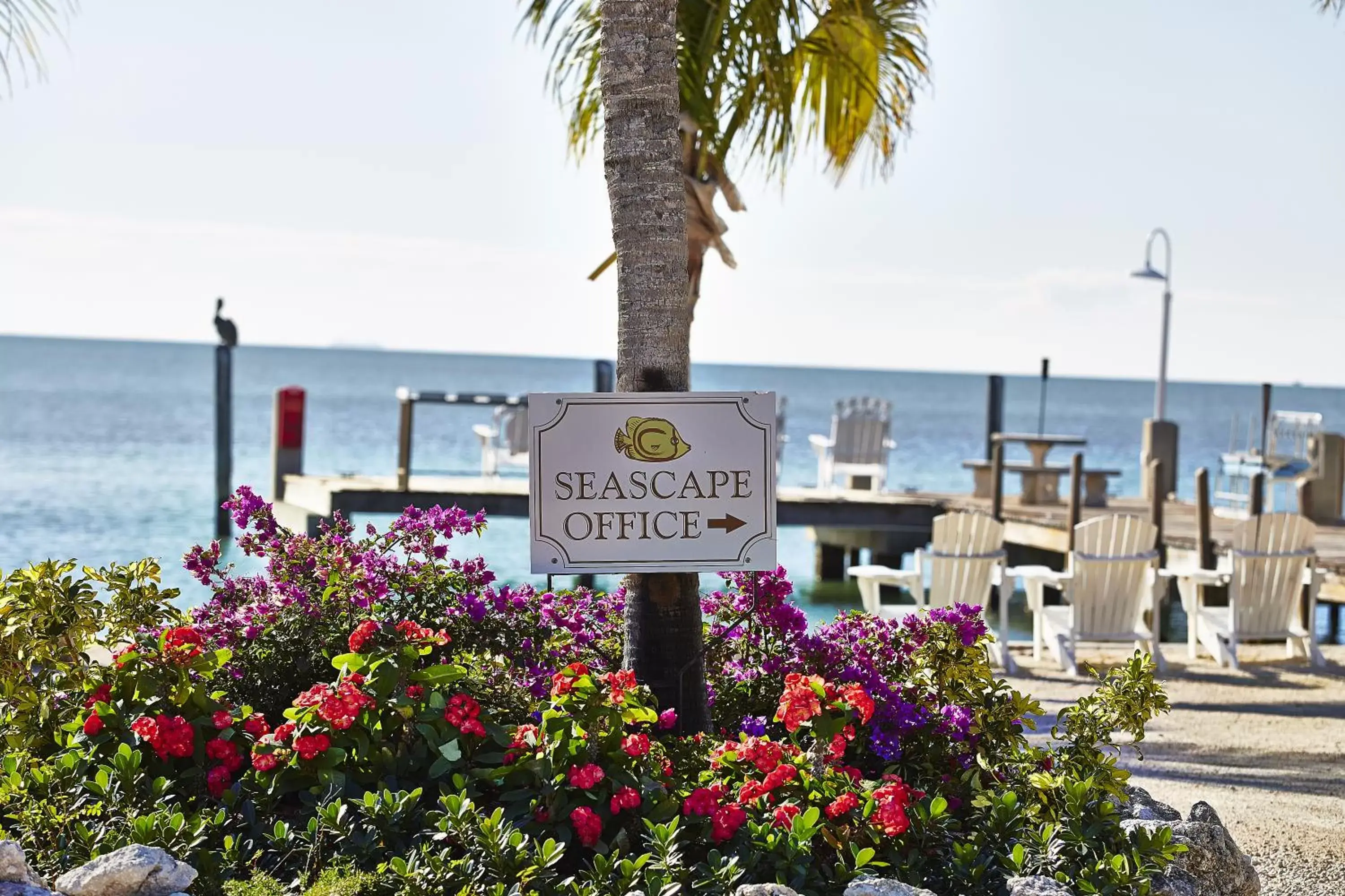 Spring in Seascape Resort & Marina