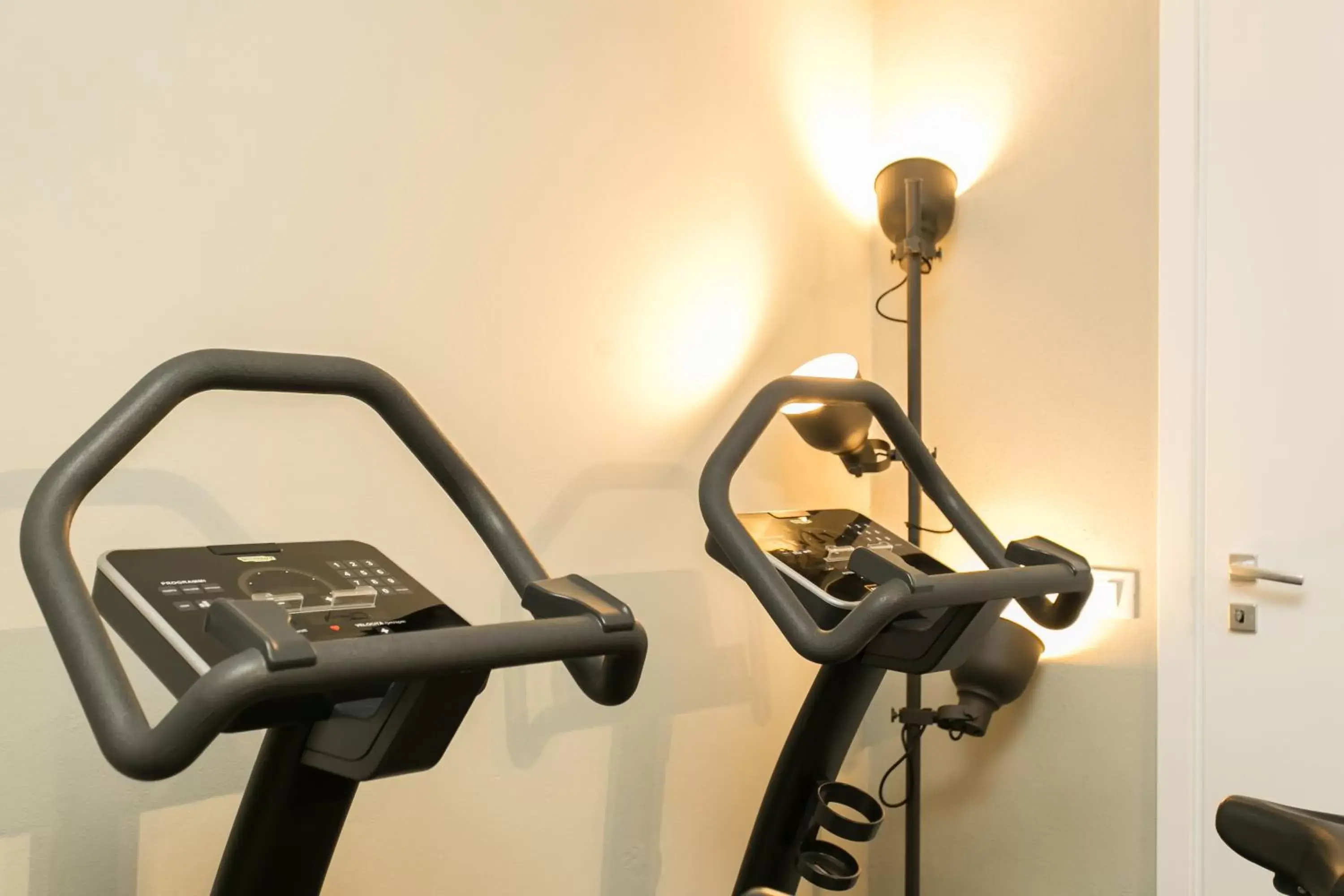 Fitness Center/Facilities in The Leoncino Hotel