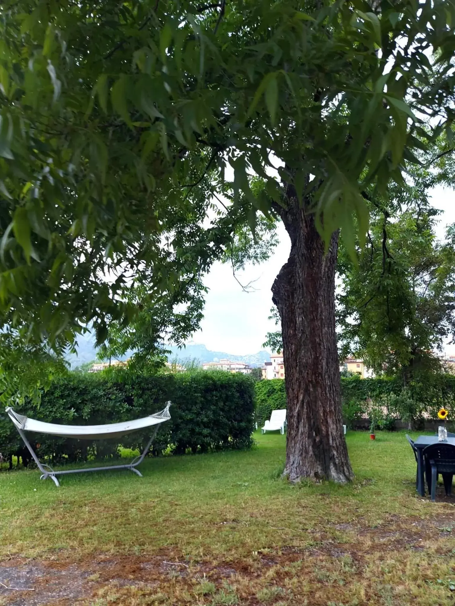 Garden in Villa Nadira