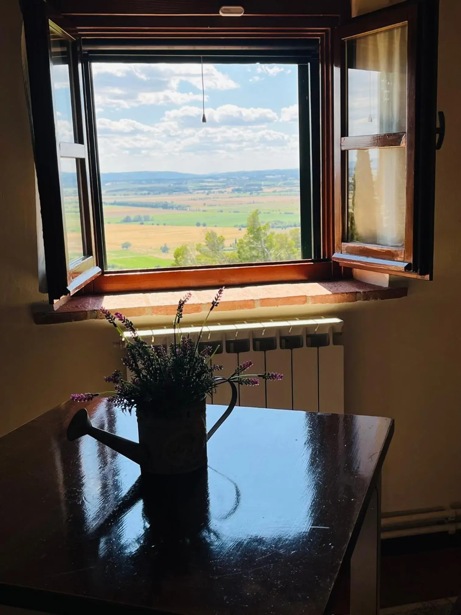 View (from property/room) in Villa Schiatti